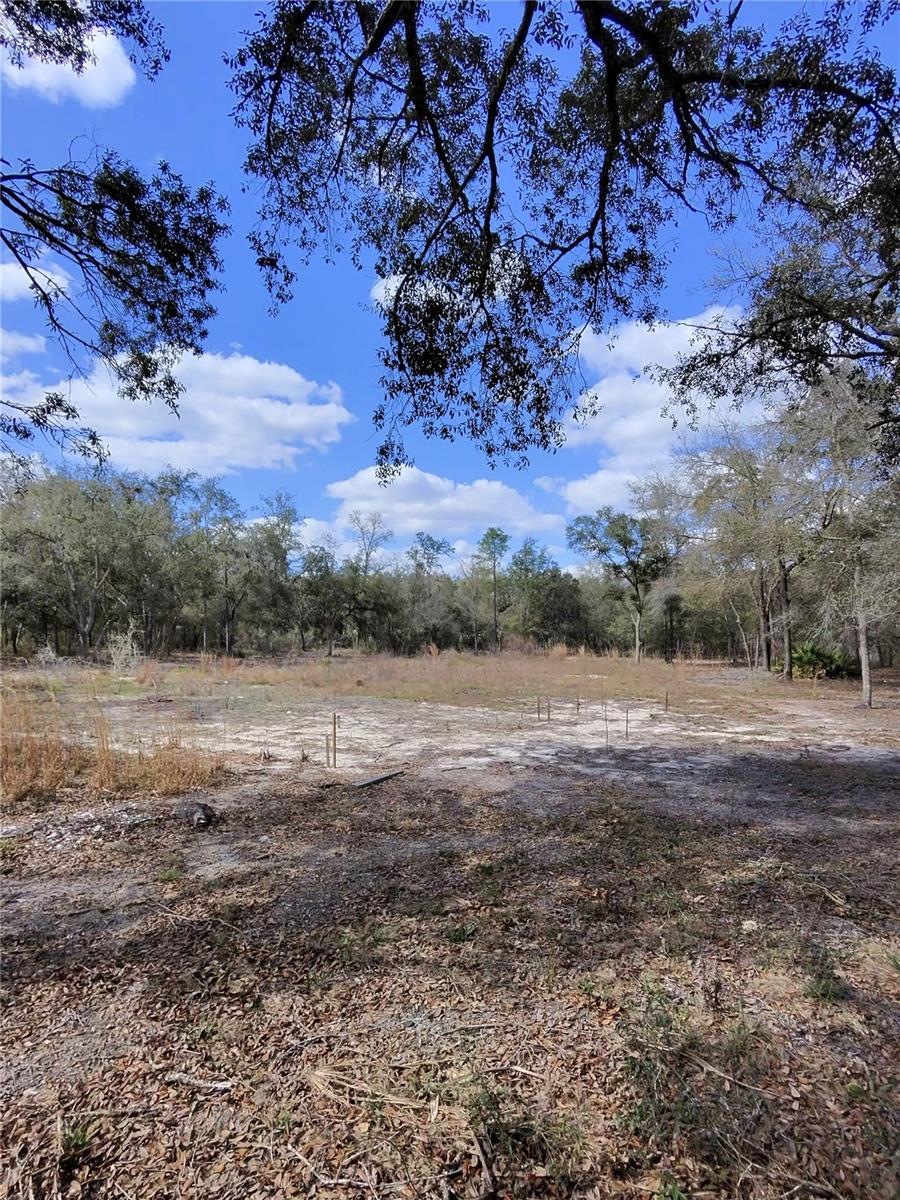 Build your home on this 1.25-acre lot in University Estates. This cleared and buildable property is zoned RR and allows for manufactured, modular, or site-built homes, offering flexibility for your future plans.