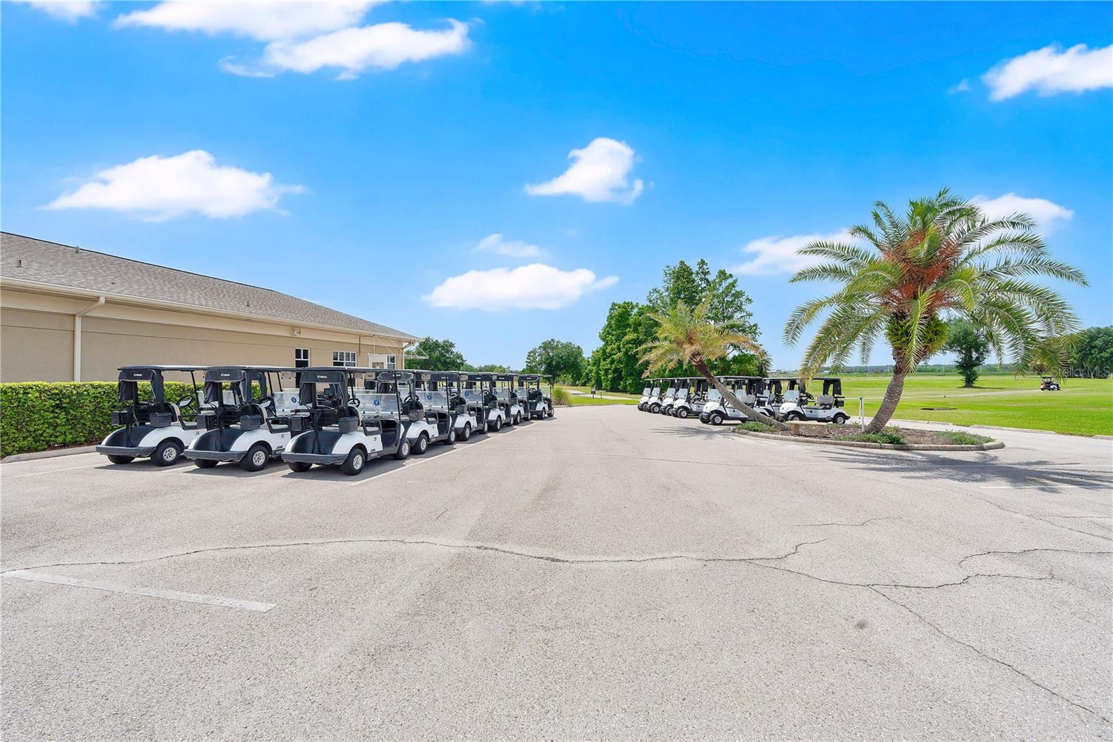 CYPRESSWOOD PALMA CEIA - Residential