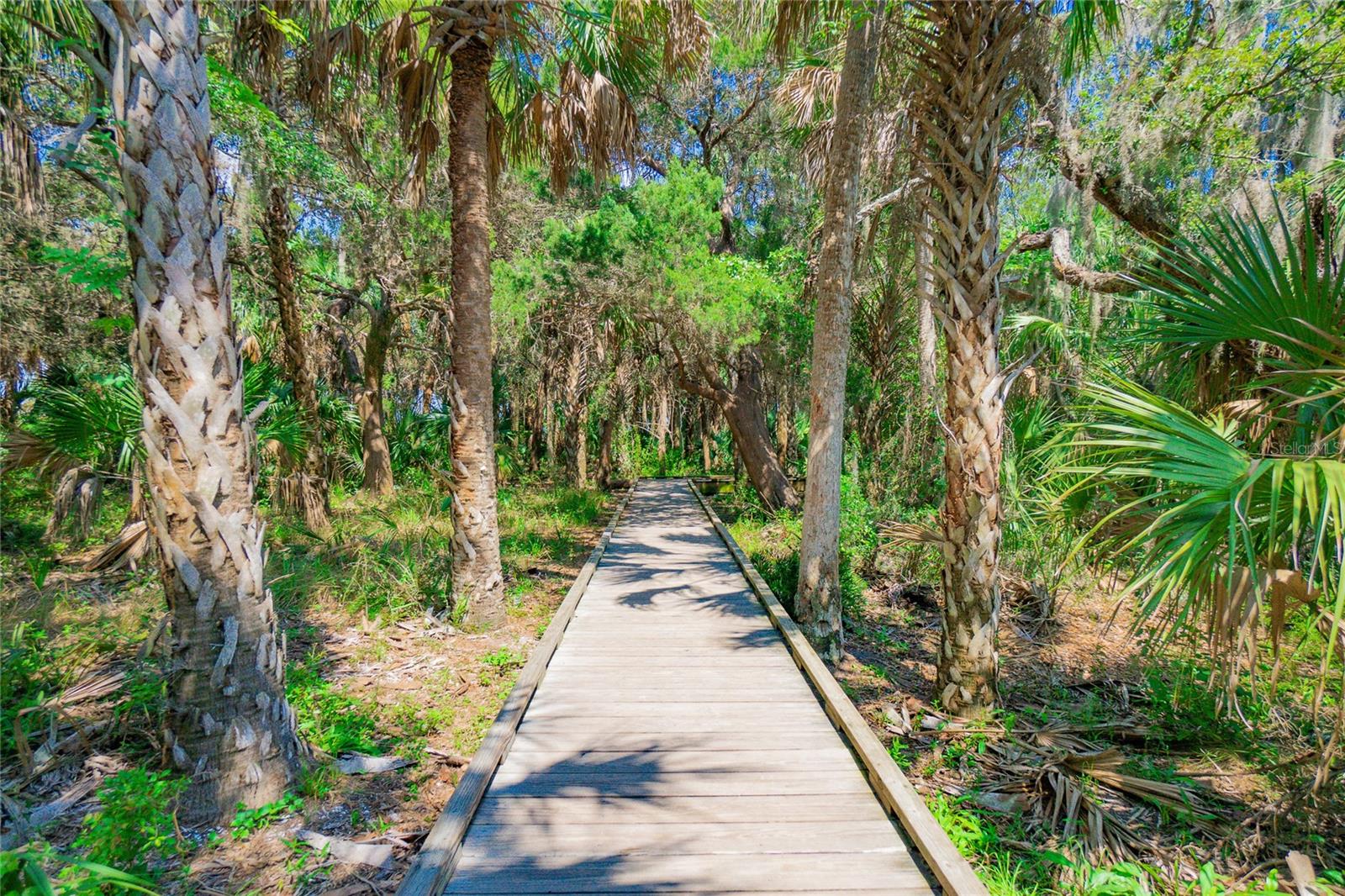 BAYVIEW HOMES CO ADD 01 CRYSTAL RIVER - Land