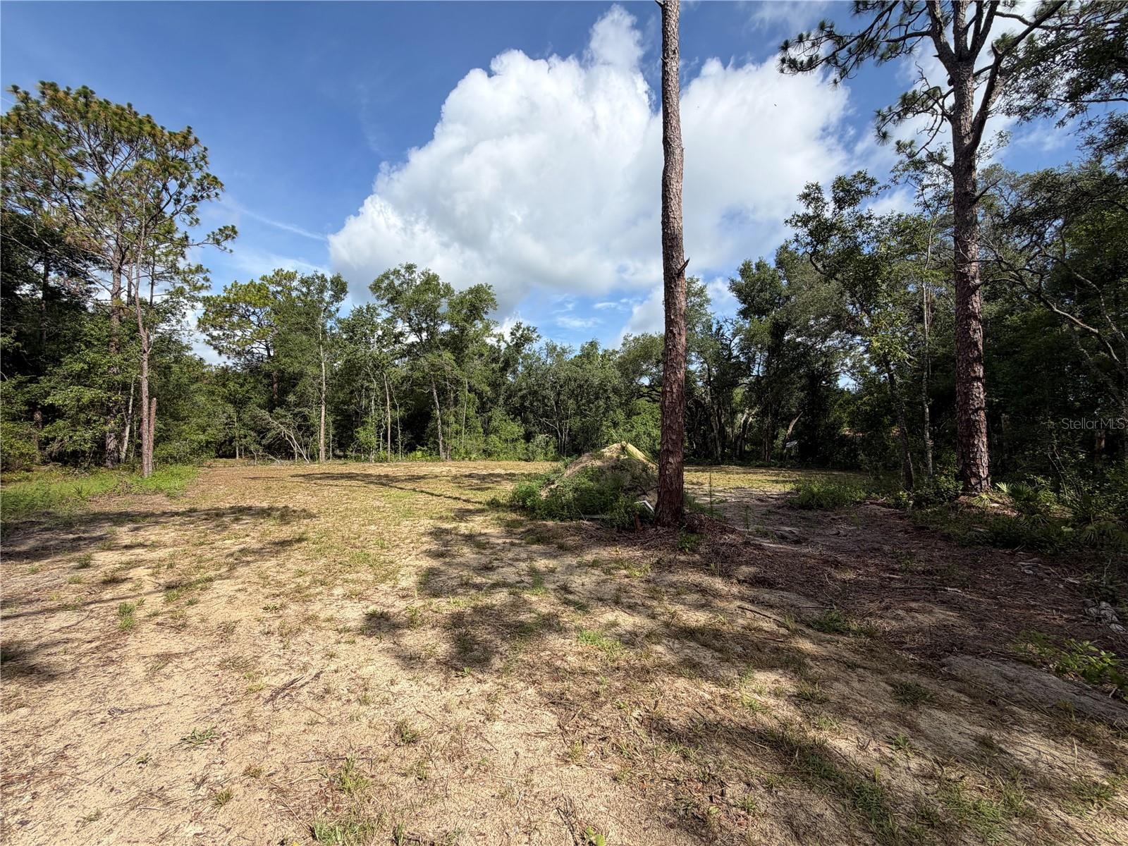 RIDGE MANOR ESTATE - Land