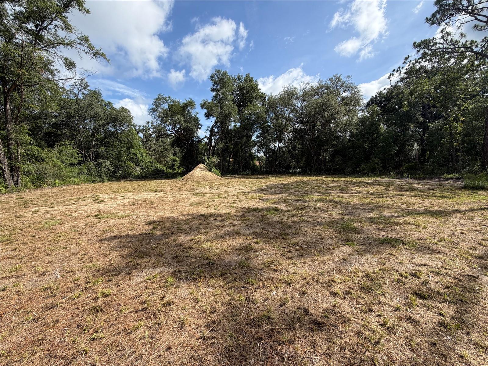 RIDGE MANOR ESTATE - Land