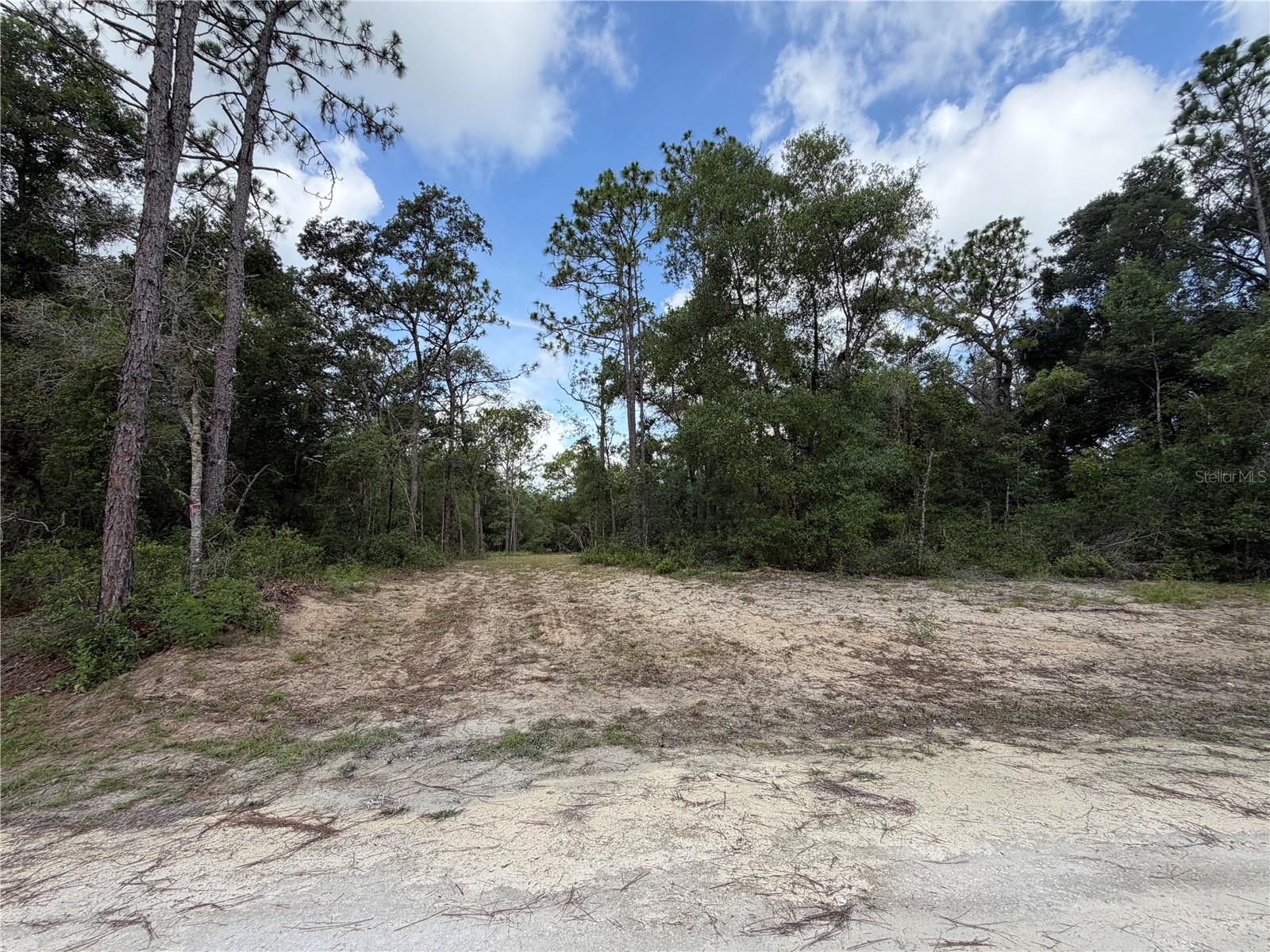 Build the life you've been dreaming of in Ridge Manor Estates! This 1.16-acre, cleared and build-ready lot offers the perfect blend of space, privacy, and flexibility--with no HOA or CDD.
Enjoy a prime location with convenient access to U.S. Highway 301, State Road 50, and Interstate 75, making commuting and travel a breeze. Even better, the property is currently located in Flood Zone X.
Whether you're looking to build now or invest for the future, this is a fantastic opportunity!