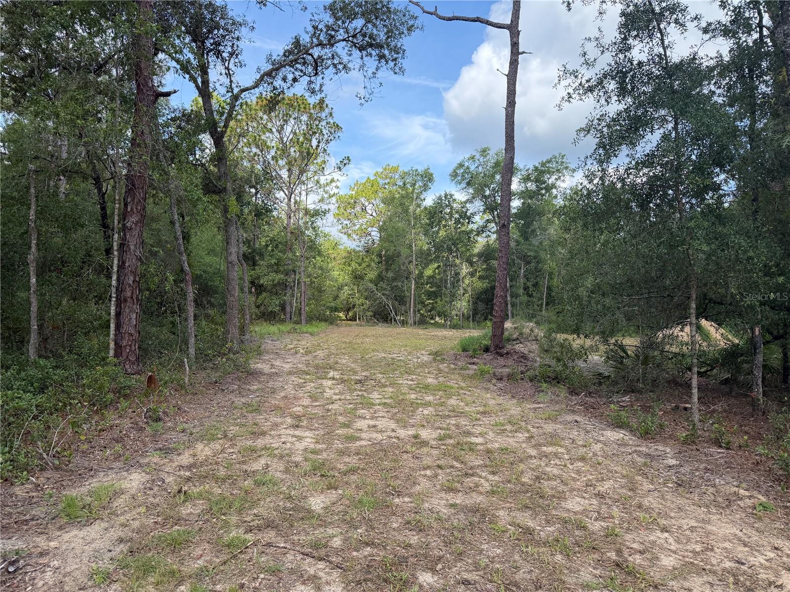 RIDGE MANOR ESTATE - Land