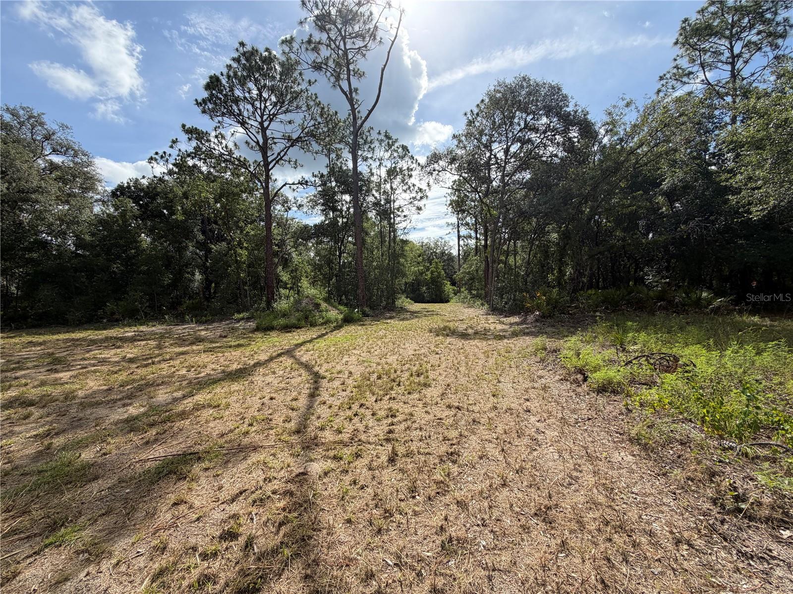 RIDGE MANOR ESTATE - Land