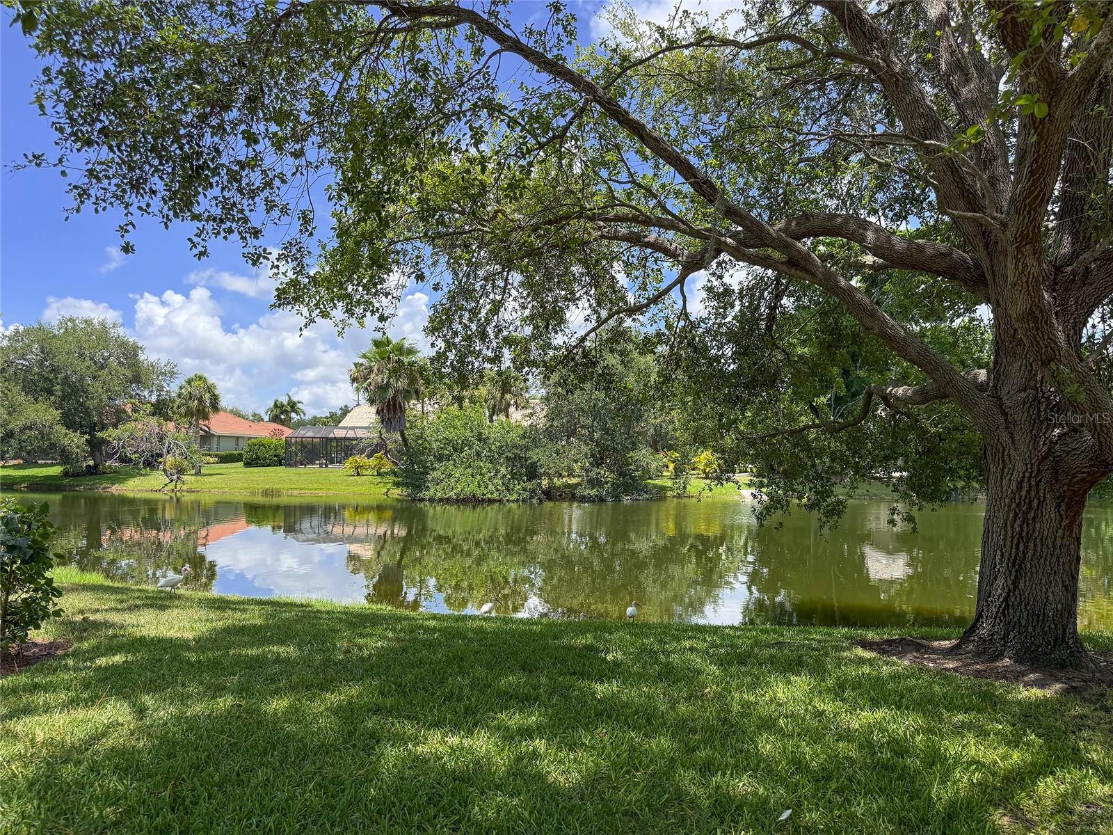 PALMER CLUB AT PRESTANCIA - Residential