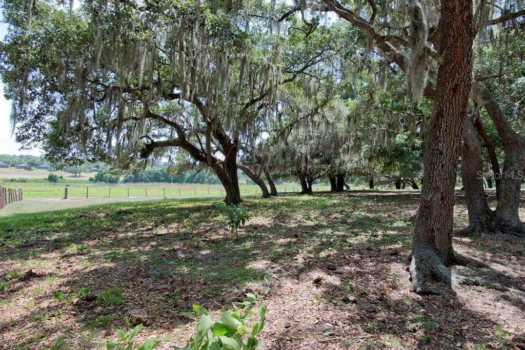 LAKE HIGHLANDS 16-22-26 - Land
