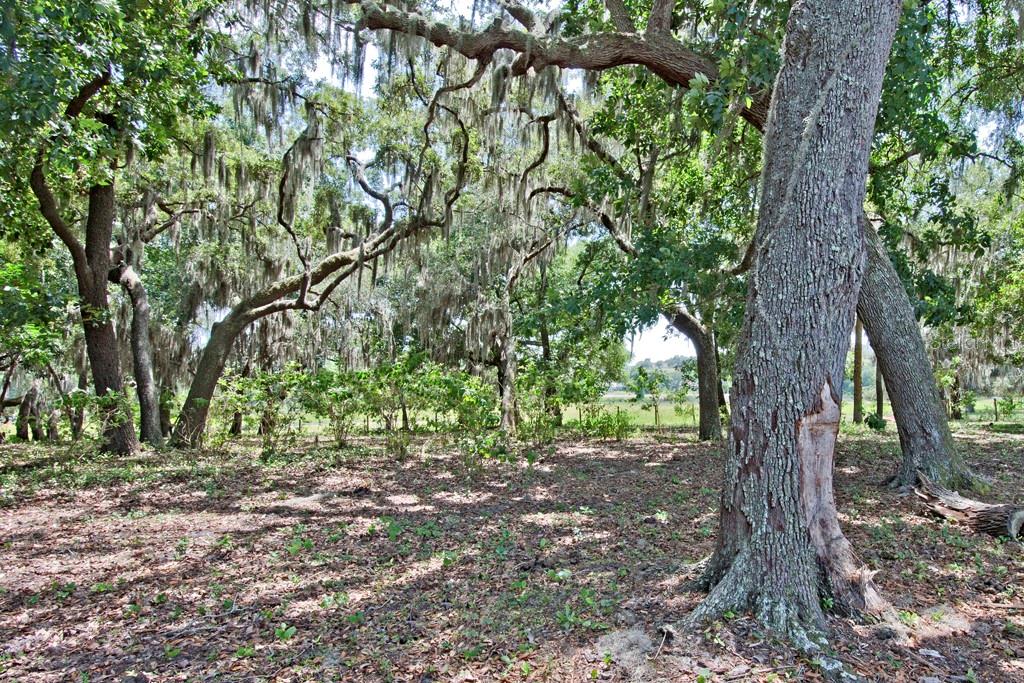 LAKE HIGHLANDS 16-22-26 - Land