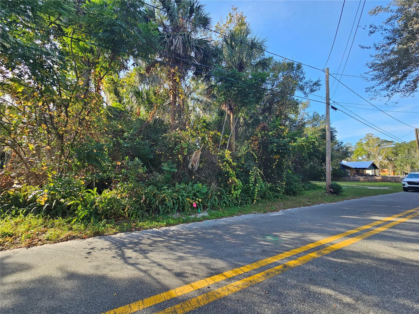 BRADDOCKS E 01/2 BLK 93 DELAND - Land