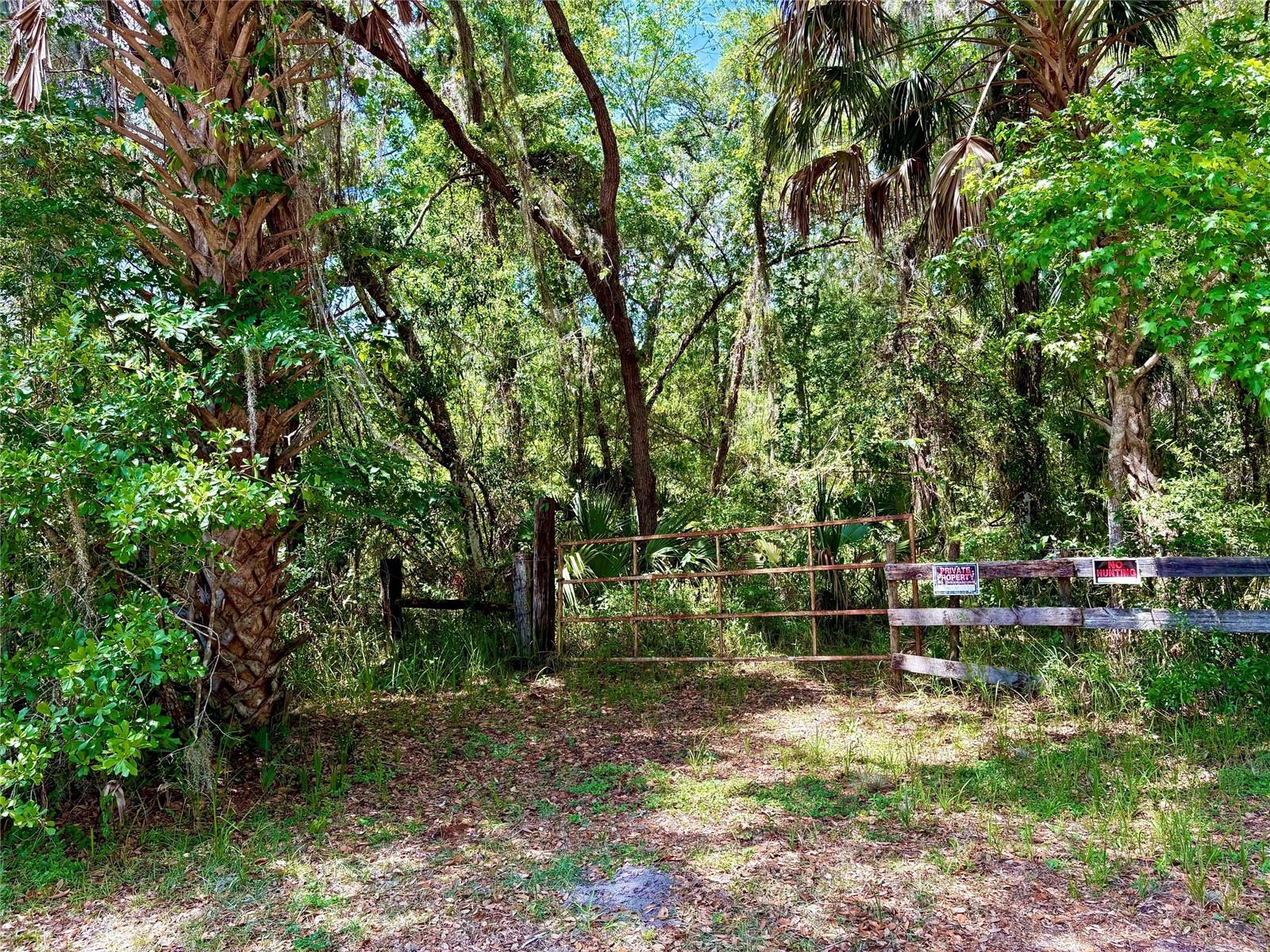 A Beautiful piece of old Florida preserved and on the market today. Includes 21 acres of planted timber and 15.40 acres of Natural standing timber. Fully fenced.  Old trails running through the property. Great find for your inspired retreat in the woods off the beaten path. But close to town for that grocery store run and nearby restaurants. Accessible from Old Crystal River road and US 41 or Snow Memorial and Lake Lindsey Road.