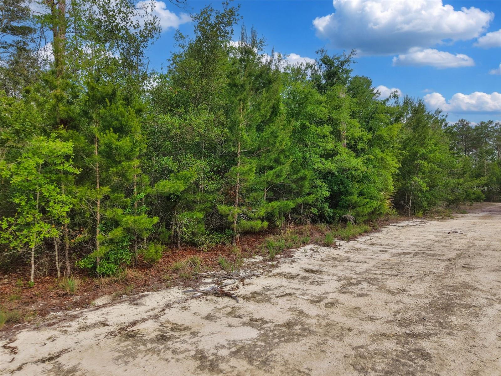 SUGAR HILL ESTATES - Land