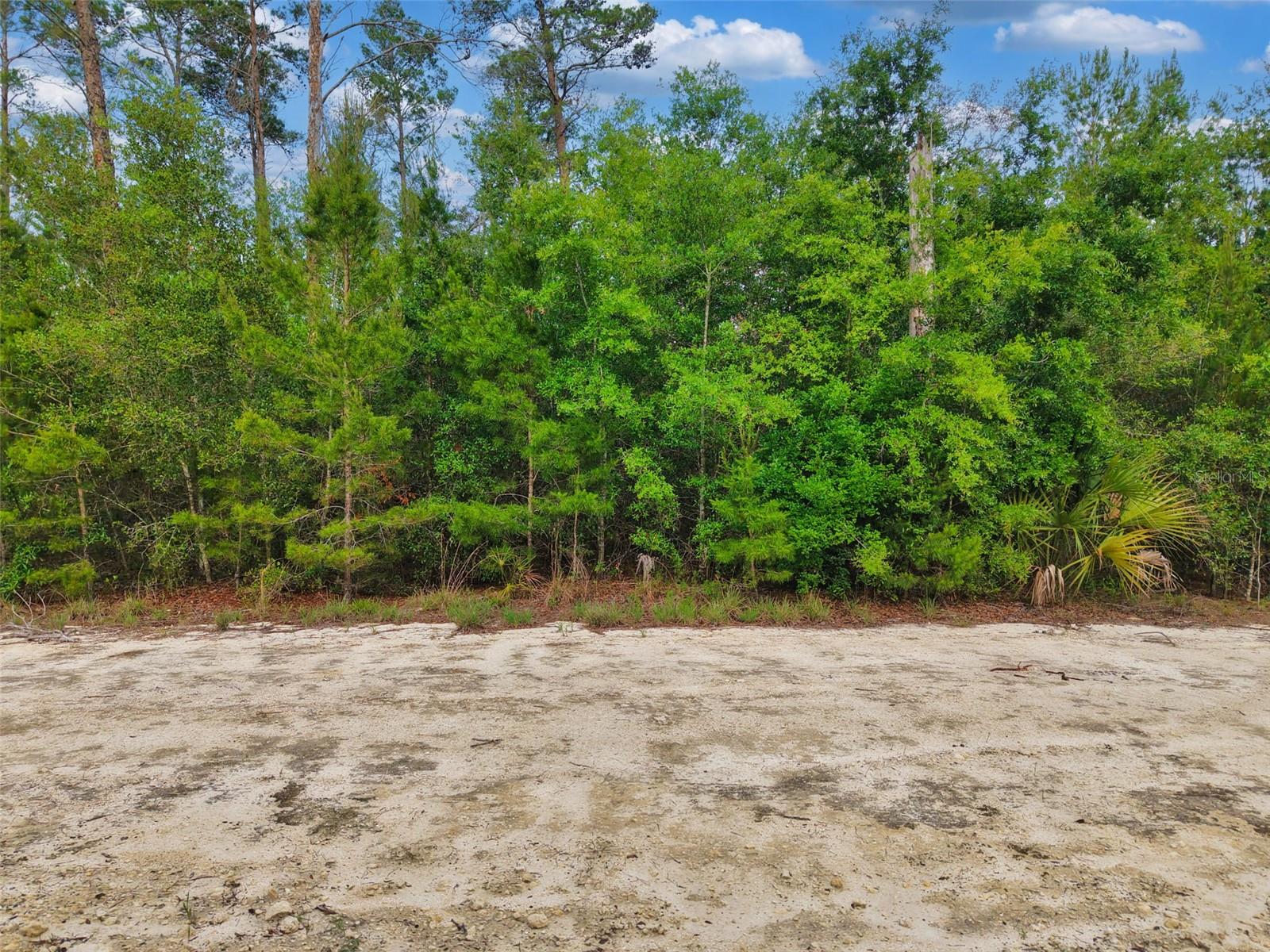 SUGAR HILL ESTATES - Land