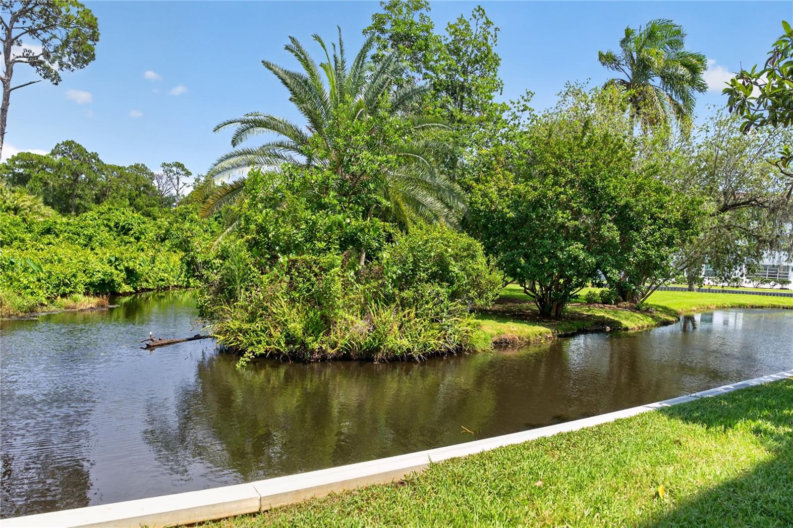 ORCHID SPGS VILL 200 CONDO - Residential