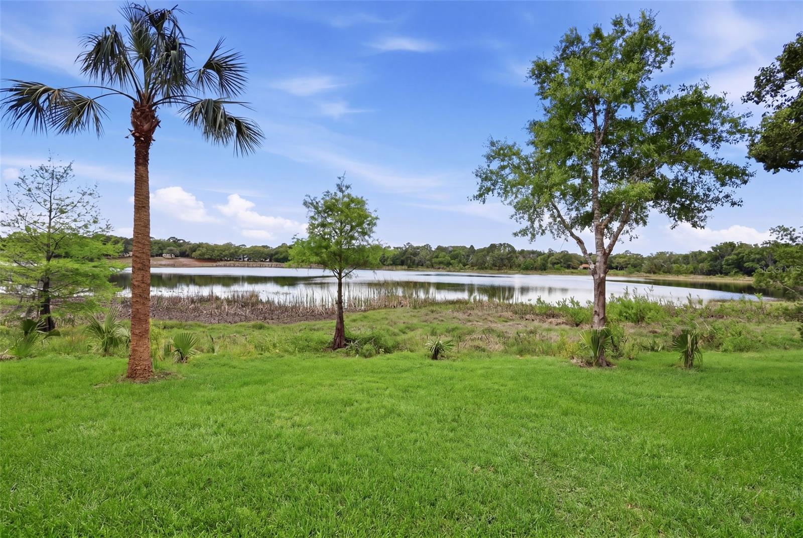 WATTS FARMS - Residential