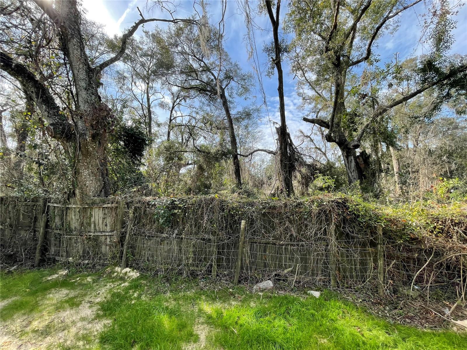 DOWNING-ALACHUA - Land