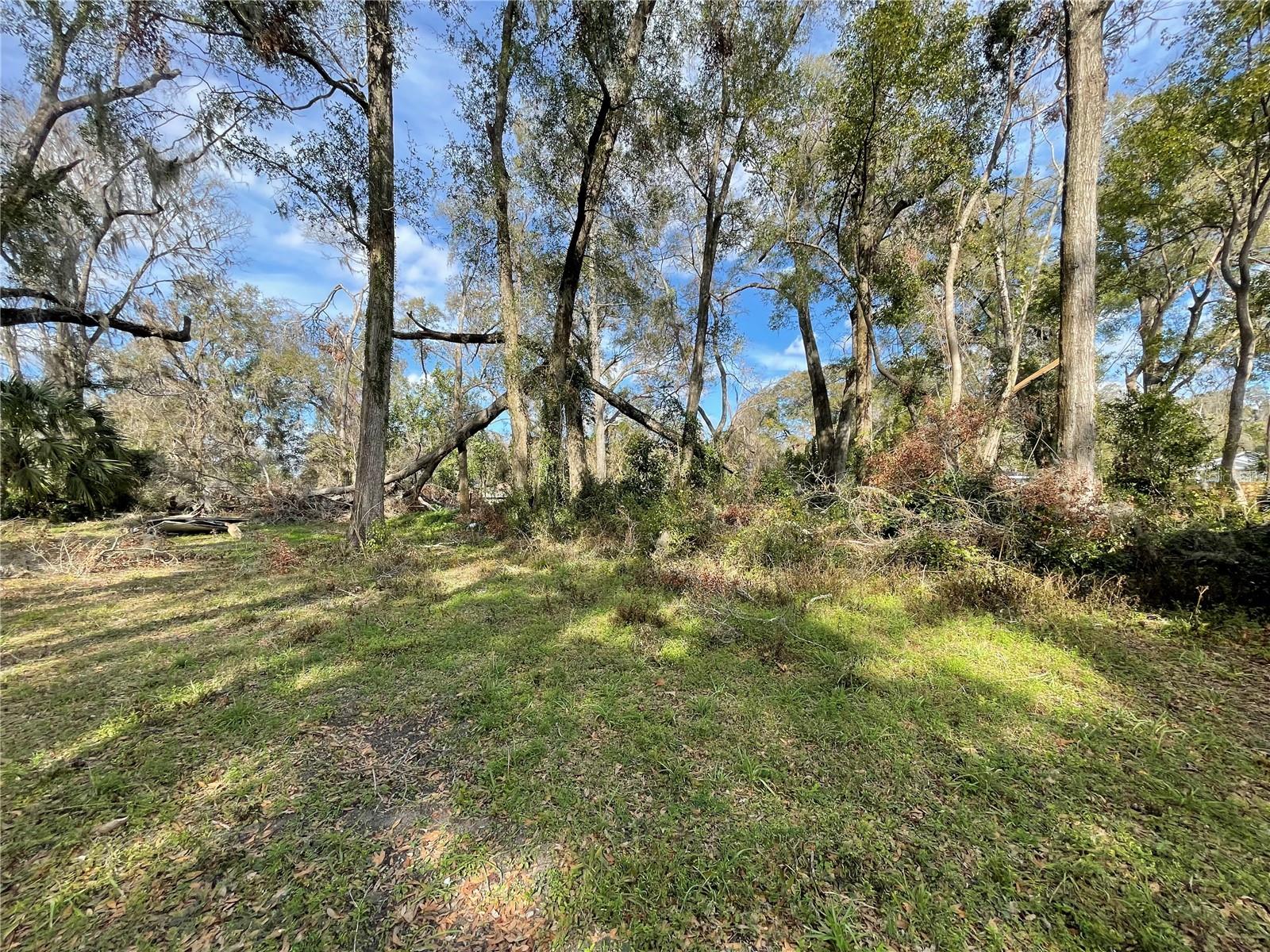 Owner financing possibilities. Affordable 50 x 100 lot in city of Alachua. New homes being built around it. Great opportunity to build an affordable home. Lot adjacent is also available and for sale. The lot is right behind the home at 15014 NW 135th Terrace Alachua, Fl. 32615. Zoned C1. Adjacent lots are zoned RSF-3.