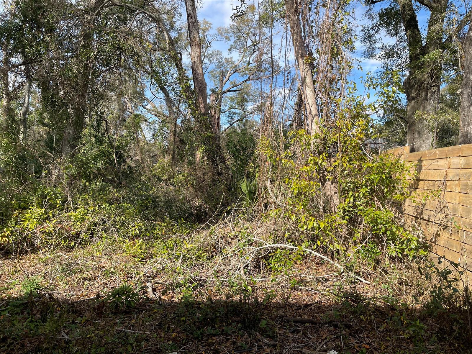 DOWNING-ALACHUA - Land