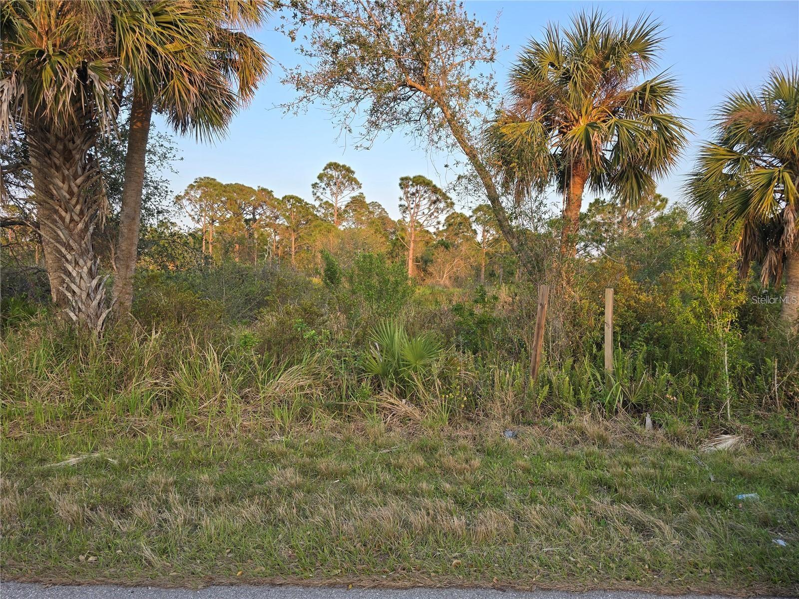 This standard 10,000-square-foot homesite features 80 feet of road frontage, is 125 ft deep in length. The Port Charlotte area continues to experience growth and development, making this an excellent opportunity for buyers looking to invest in land while prices remain affordable. There is plenty of room to design a spacious floor plan that includes a large screened-in pool and an expansive outdoor living area. With no existing structures on the property, you have the flexibility to clear and improve the lot according to your own vision and building plans. Whether you prefer a modern coastal design, spacious outdoor living areas, a pool, or extra garage space for your boat or recreational vehicles, this property offers the potential to make it happen. Enjoy the relaxed Florida lifestyle with year-round warm weather, beautiful sunsets, nearby beaches, world-class fishing, golf courses, and endless recreational opportunities. Conveniently located near major highways and neighboring communities, you can easily access Punta Gorda, North Port, and Englewood for additional dining, shopping, and entertainment options. Nature and wellness enthusiasts will appreciate the proximity to Warm Mineral Springs Park, where you can soak in world-famous 87-degree therapeutic waters just a short drive away. For those who love to explore the Florida landscape, nearby parks such as Myakkahatchee Creek Environmental Park and the Audubon-Pennington Nature Park have scenic hiking trails, bird watching, and serene escapes into the local wilderness. Sports fan? Southwest FLA is the place to be. The property is also a dream location for sports fans. You are perfectly placed between the Spring Training homes of two major MLB teams: the Tampa Bay Rays at Charlotte Sports Park and the Atlanta Braves at the award-winning CoolToday Park in Wellen Park. Golfers will be spoiled for choice with championship courses like Riverwood Golf Club, Heron Creek, and Deep Creek all within a 20-minute radius. you can reach the sandy shores of Englewood Beach in approximately 30 minutes or the historic, turquoise-water paradise of Boca Grande in about 40 minutes. This area is a global hotspot for world-class fishing, from the adrenaline of tarpon fishing in the Boca Grande Pass to technical flats fishing for redfish and snook in the local estuaries.