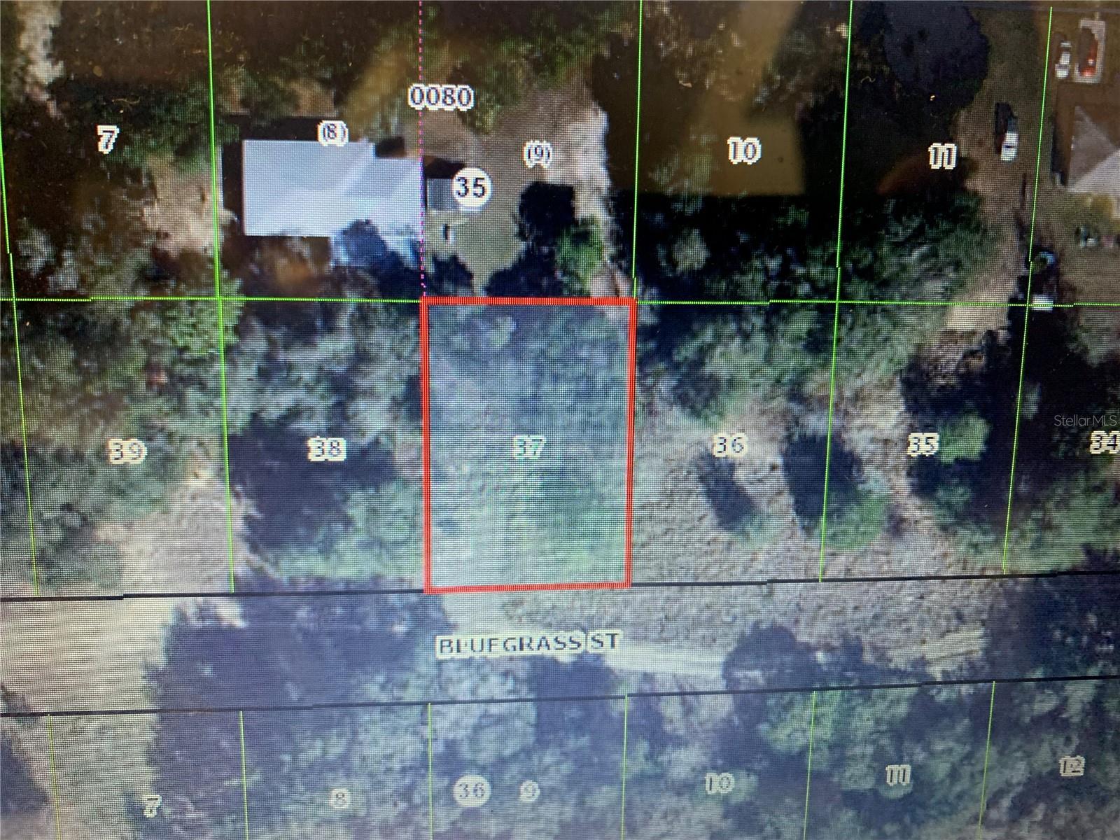 Nice 0.23 ac lot in Inverness Acres Unit 2.Adjoining lot # 36 also available (0,23ac). Area of new Construction. Convenient Location, close to shopping, medical, & schools.Easy drive to Gulf of Mexico/Crystal River. Ocala-45min drive, Tampa and Orlando-1,5H drive.
Build your Dream Home!