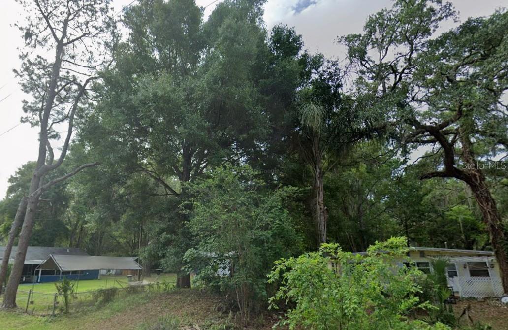 HOMOSASSA TOWN - Land