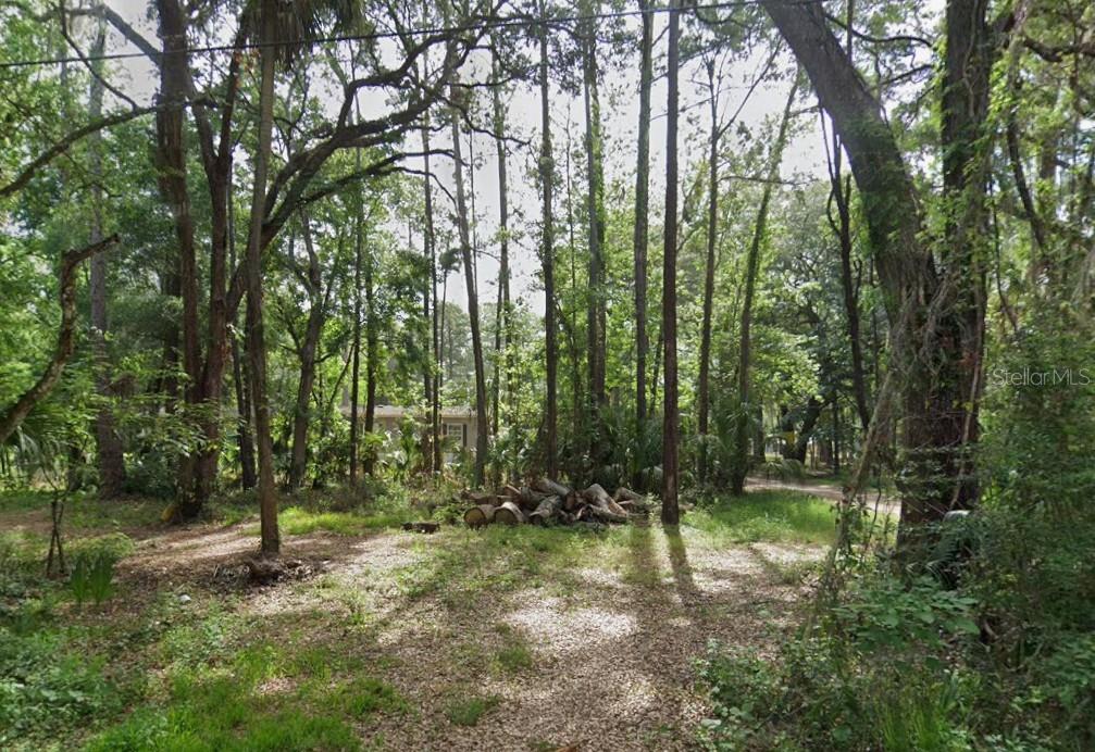 HOMOSASSA TOWN - Land