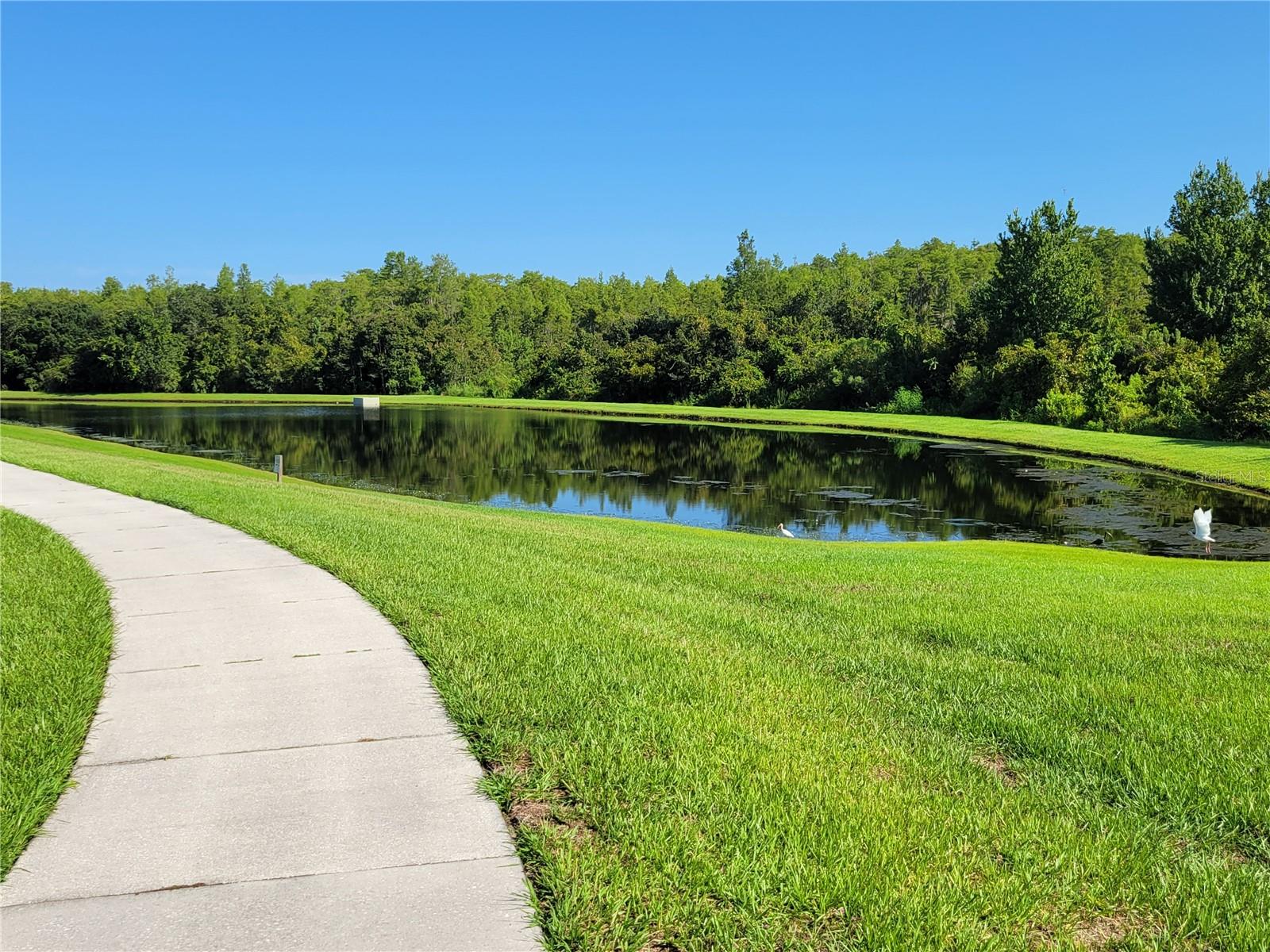 SIGNATURE LAKES/INDEPENDENCE - Residential