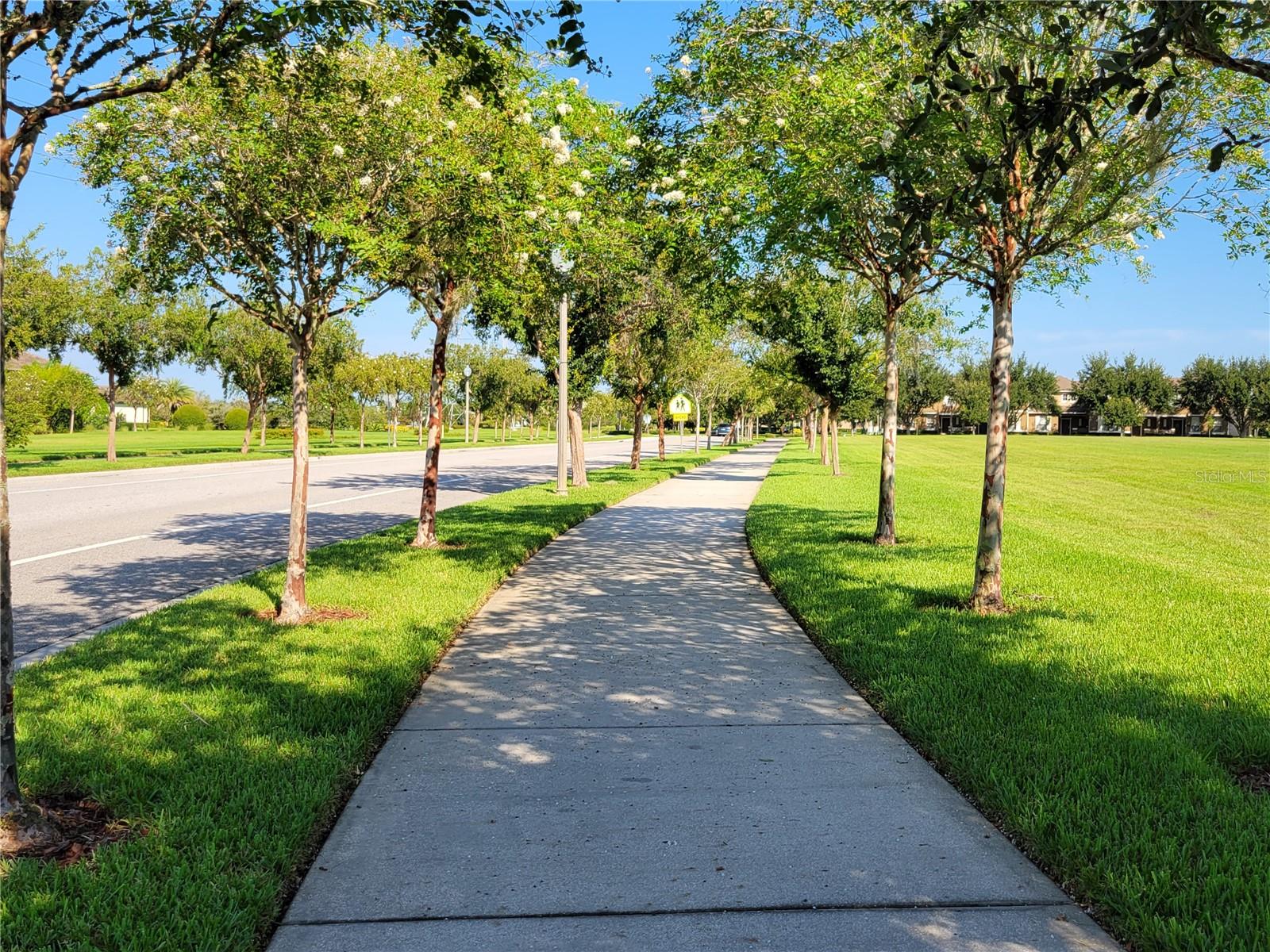 SIGNATURE LAKES/INDEPENDENCE - Residential