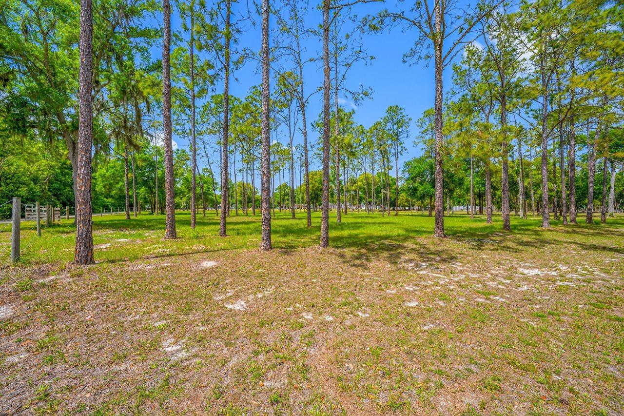 GUILLEN ESTATES LOT 5 REPLAT - Land