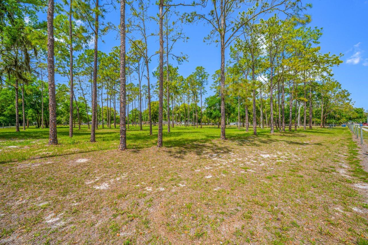 GUILLEN ESTATES LOT 5 REPLAT - Land