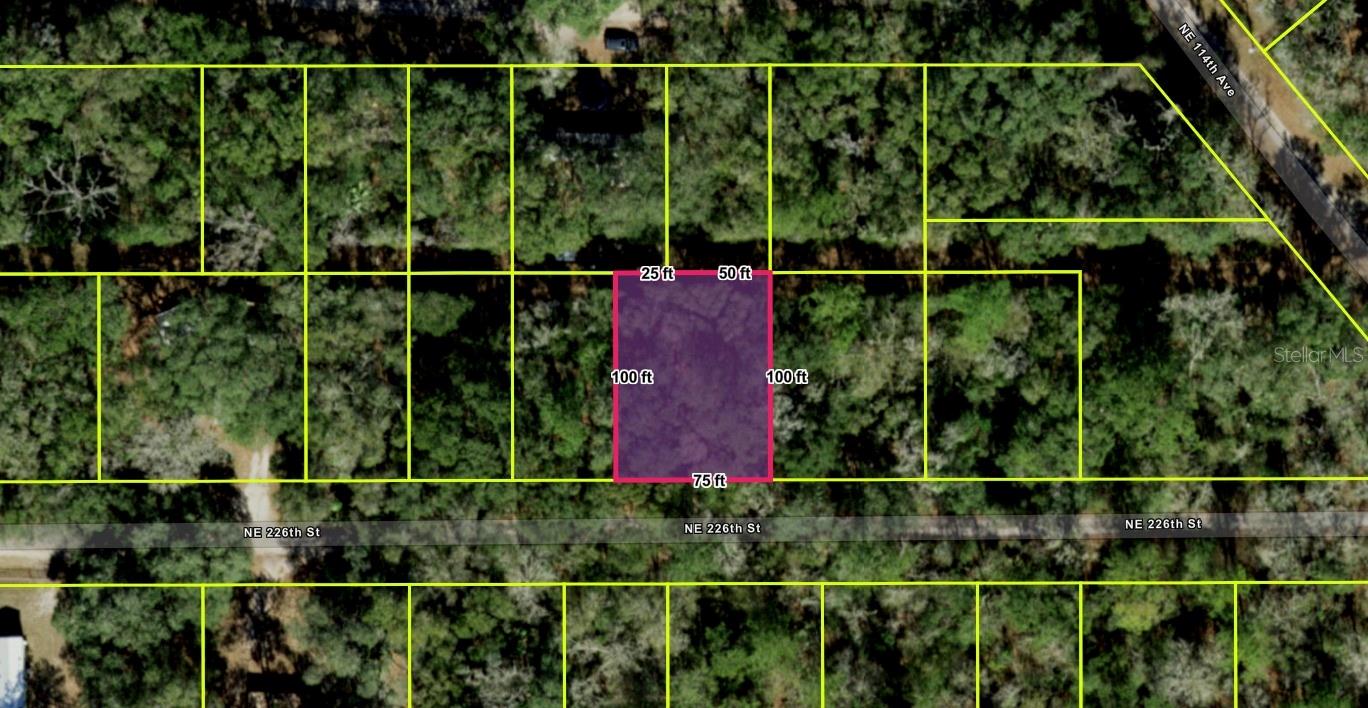 OCALA NATIONAL FOREST CAMPSITES - Land