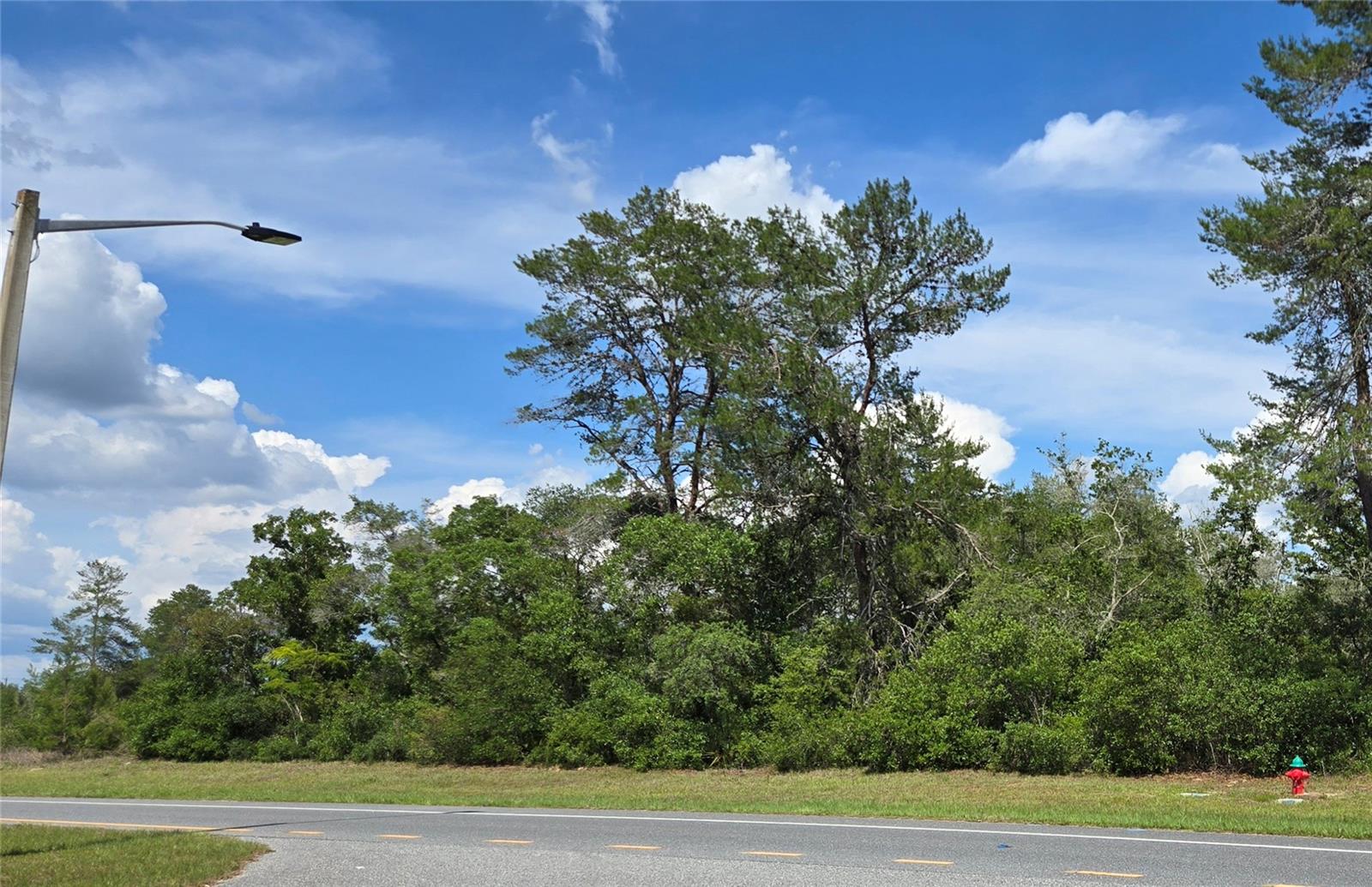 In excellent popular Marion Oaks community. This amazing Multi-family lot is zoned RPUD allowing up to 8 units. Located on the main Marion Oaks Boulevard, convenient to nearby supermarkets, shopping plazas, schools and medical facilities. Great investment and income opportunity in this fast growing area near Interstate 75 and major highways.