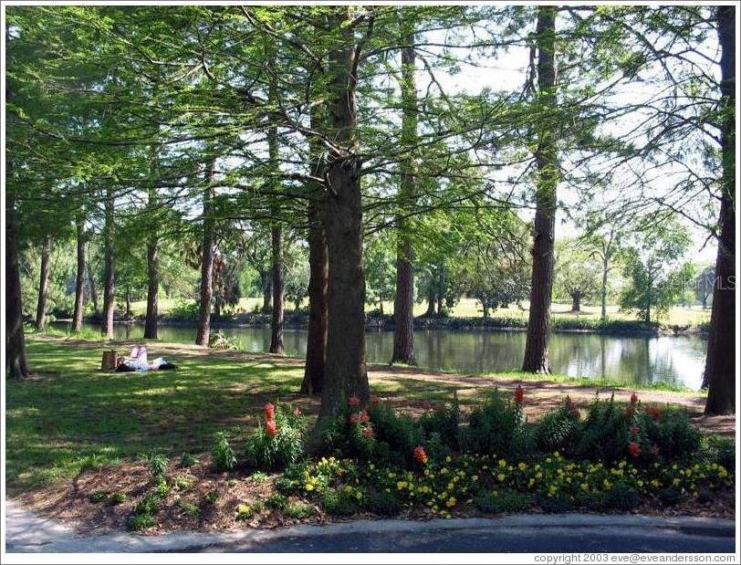 PHILLIPS REP 01 LAKEWOOD - Residential Lease