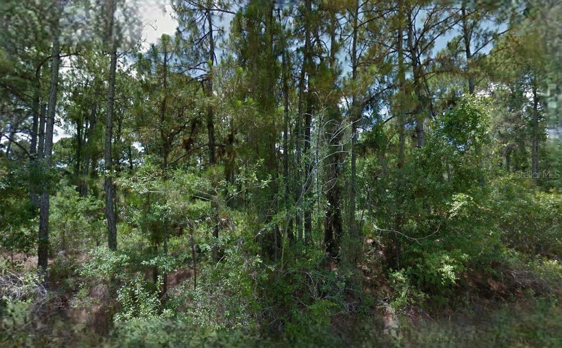 Nice vacant lot in a growing area.  All information provided is deemed reliable but is not guaranteed and should be independently verified.