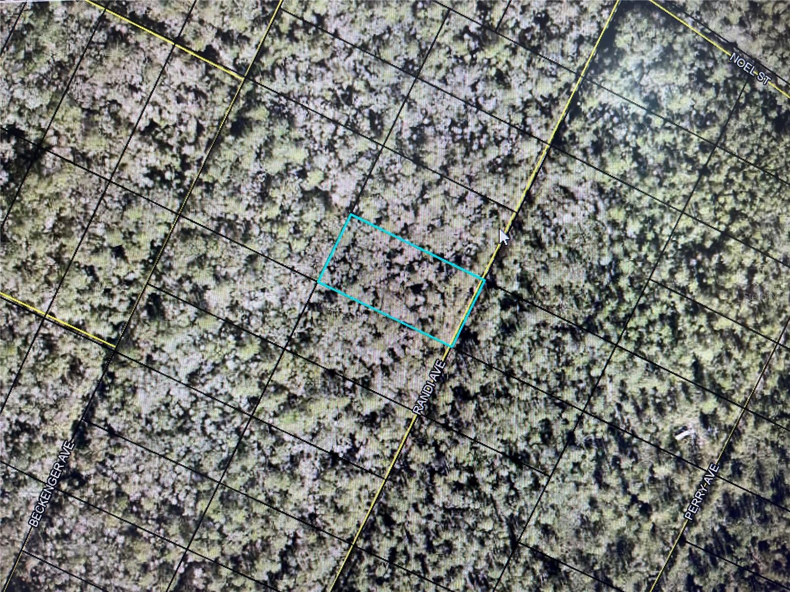 BUY AND HOLD OPPORTUNITY!!!!!
Investment property in Flagler Estates. Unimproved, wooded residential lot in Flagler County. Perfect for ATV'S or Bikes, Camping or for Investment Purposes. Buyer to do all due diligence prior to offer.