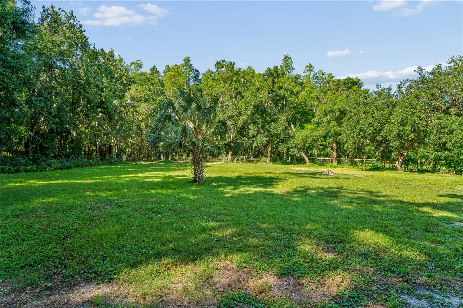 EAST LAKE - Residential