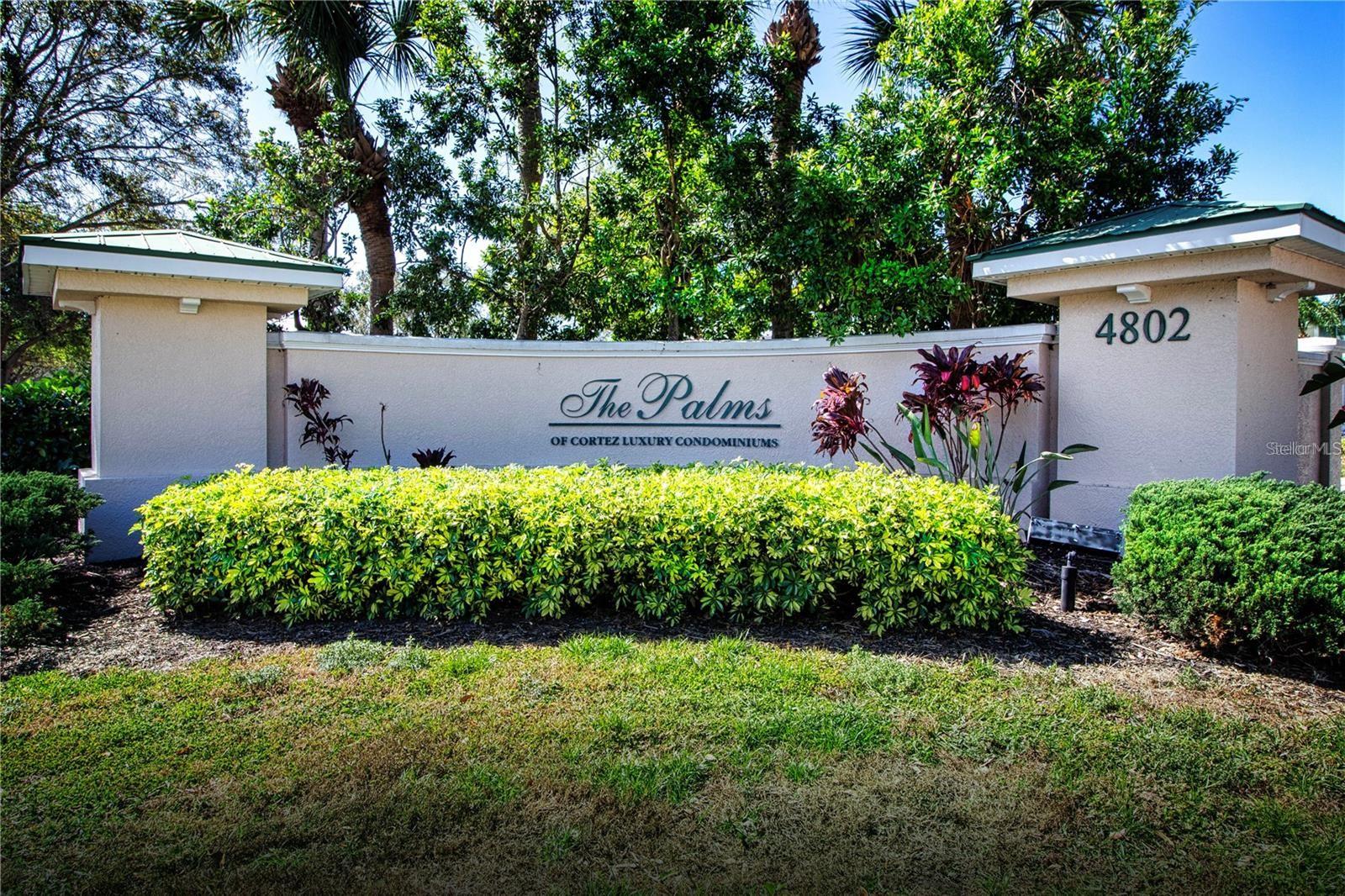 THE PALMS OF CORTEZ - Residential