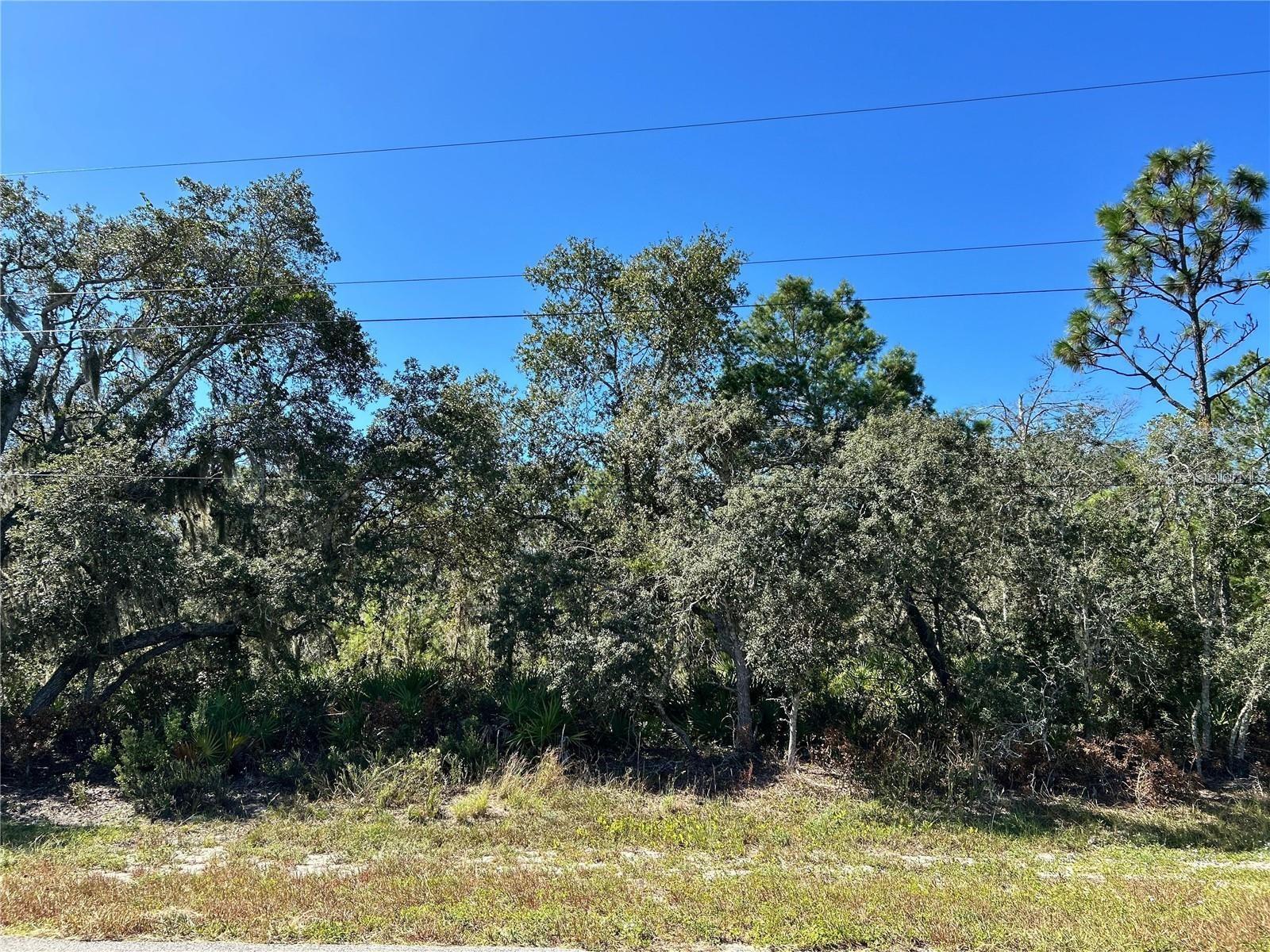 LAKE CALOOSA LANDING PH 02 - Land