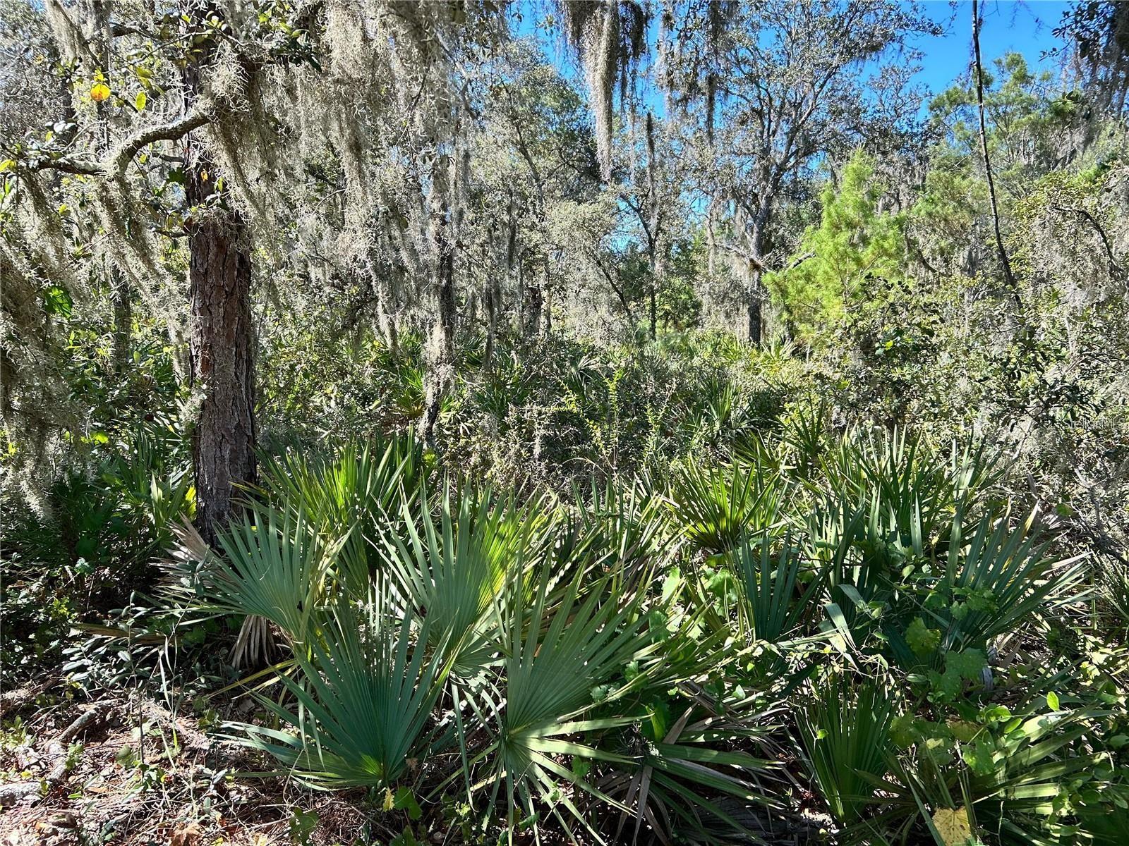LAKE CALOOSA LANDING PH 02 - Land