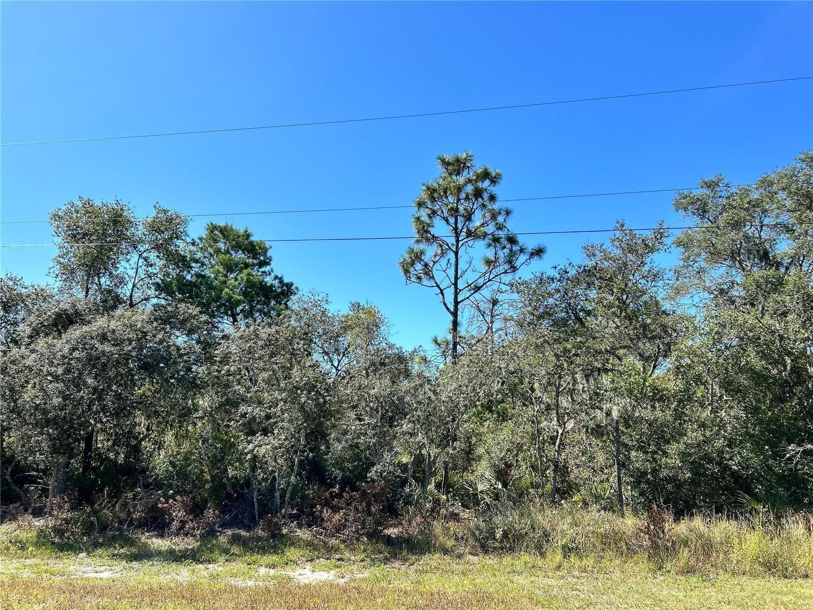 LAKE CALOOSA LANDING PH 02 - Land