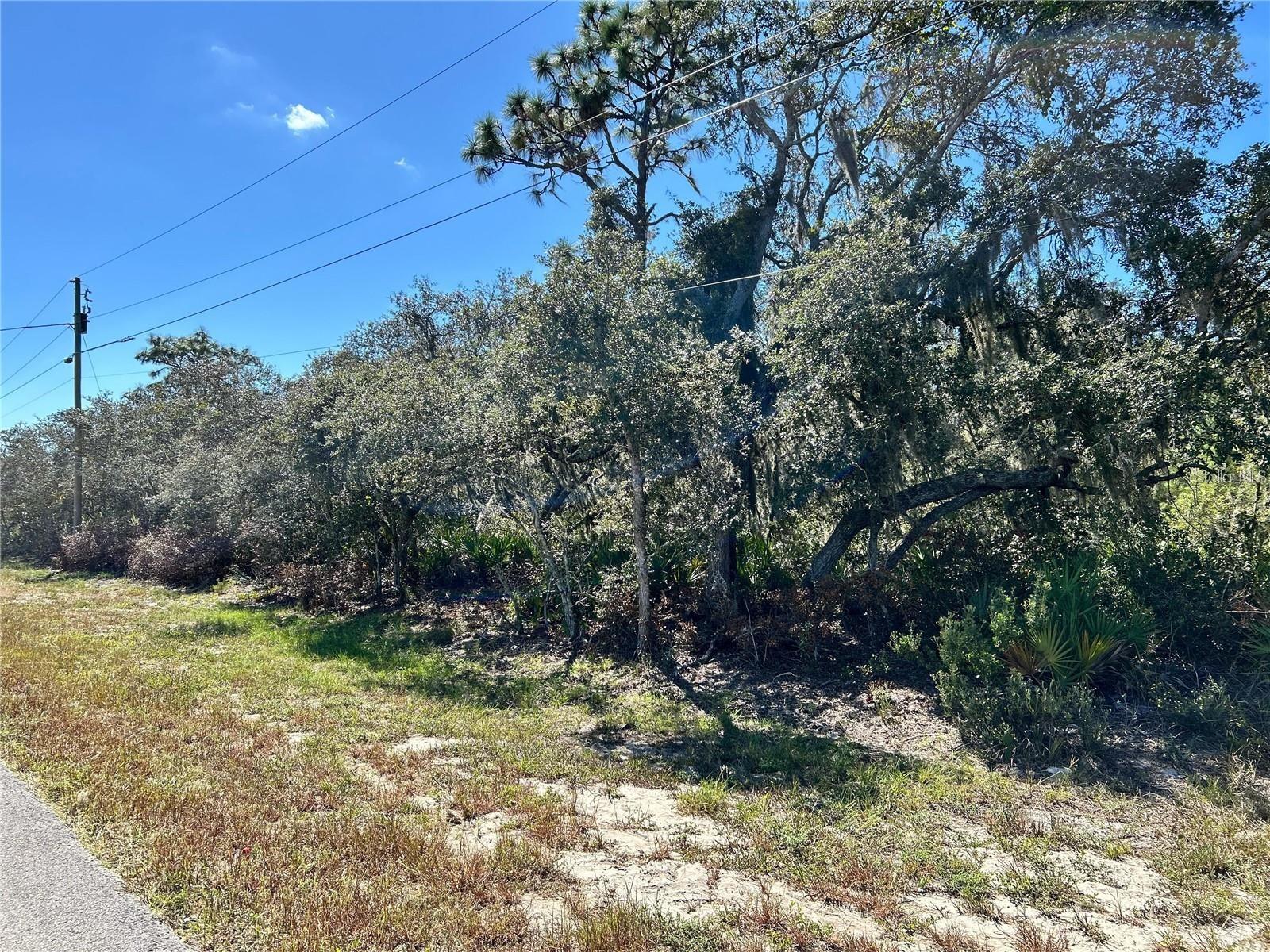 LAKE CALOOSA LANDING PH 02 - Land