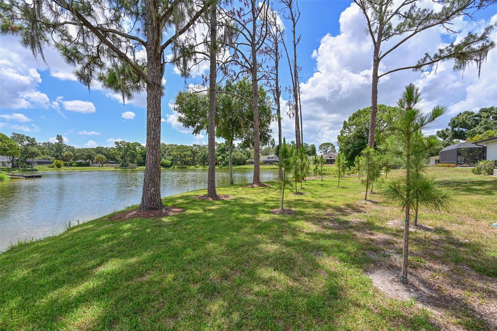 BRADEN WOODS PH IV - Residential