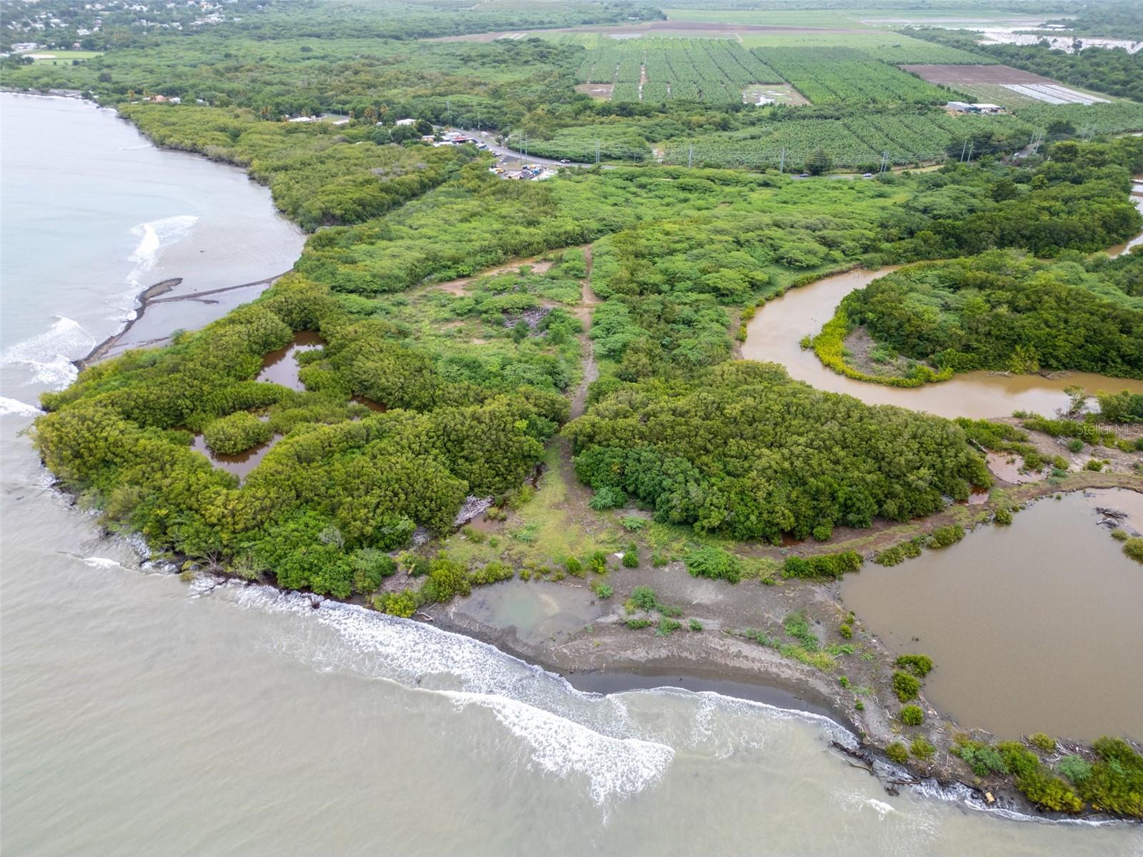 RIO JUEYES - Land