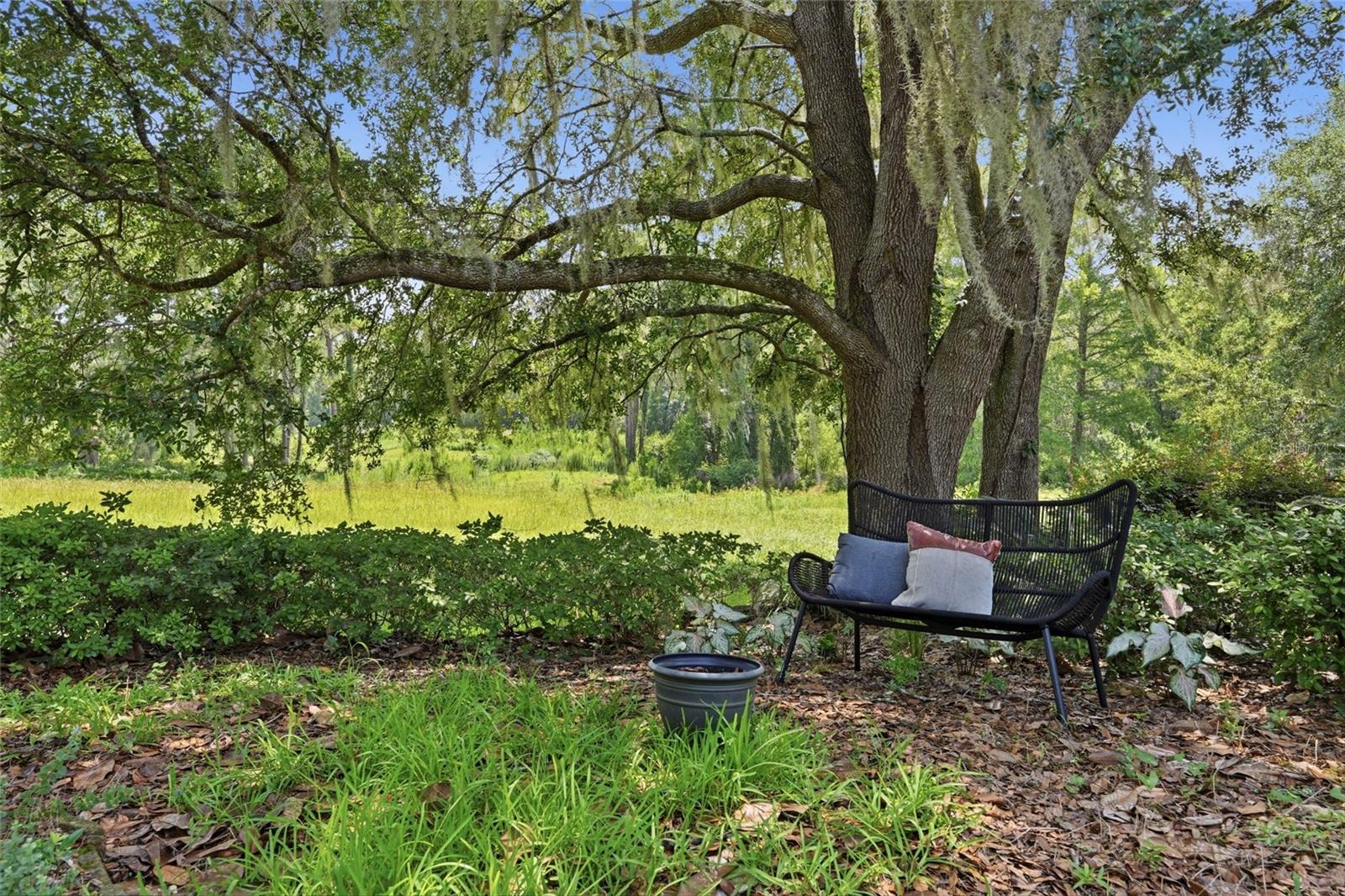 MEADOWBROOK AT GAINESVILLE C-1 - Residential