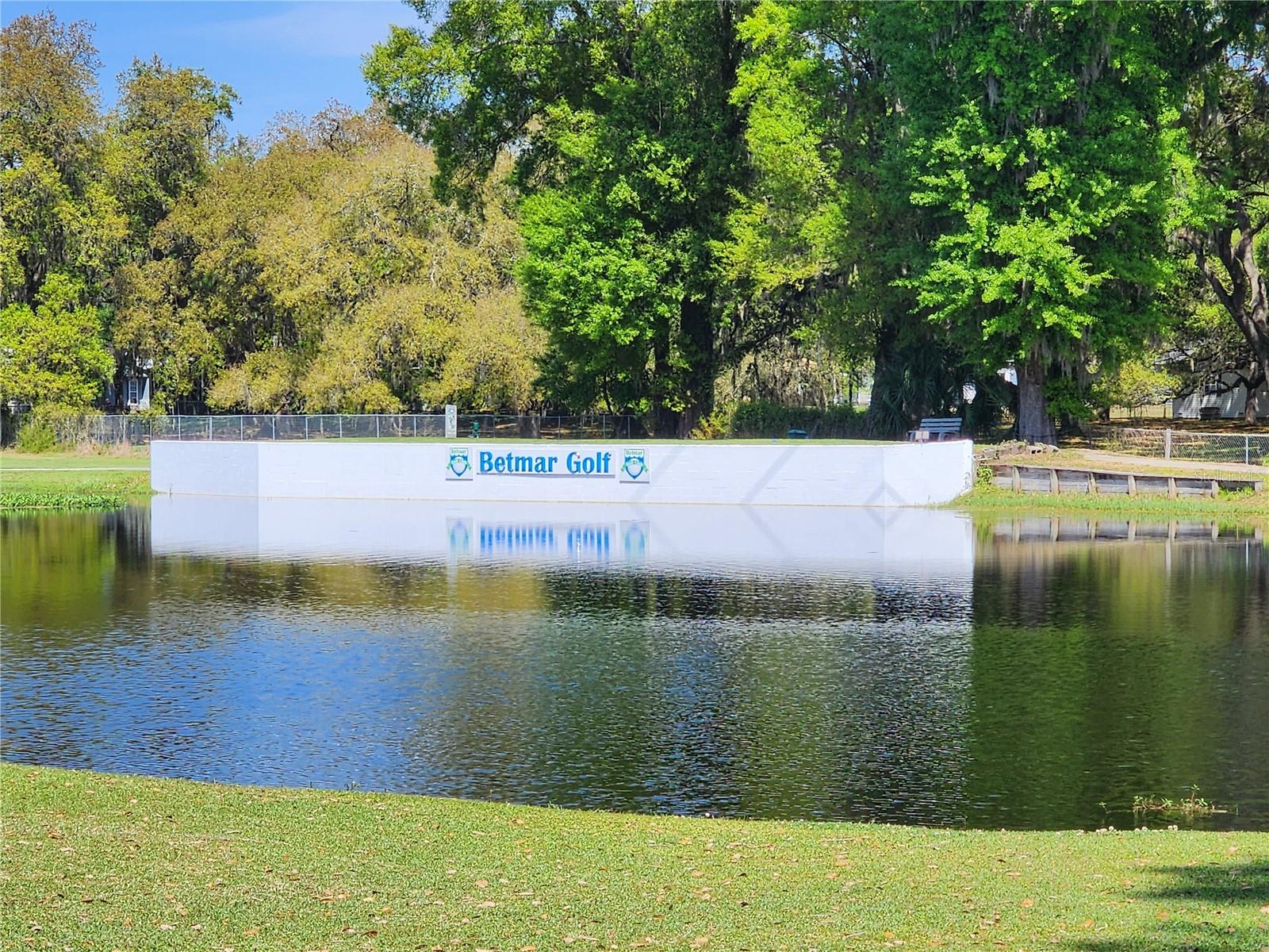 BETMAR ACRES UNIT 1 - Residential