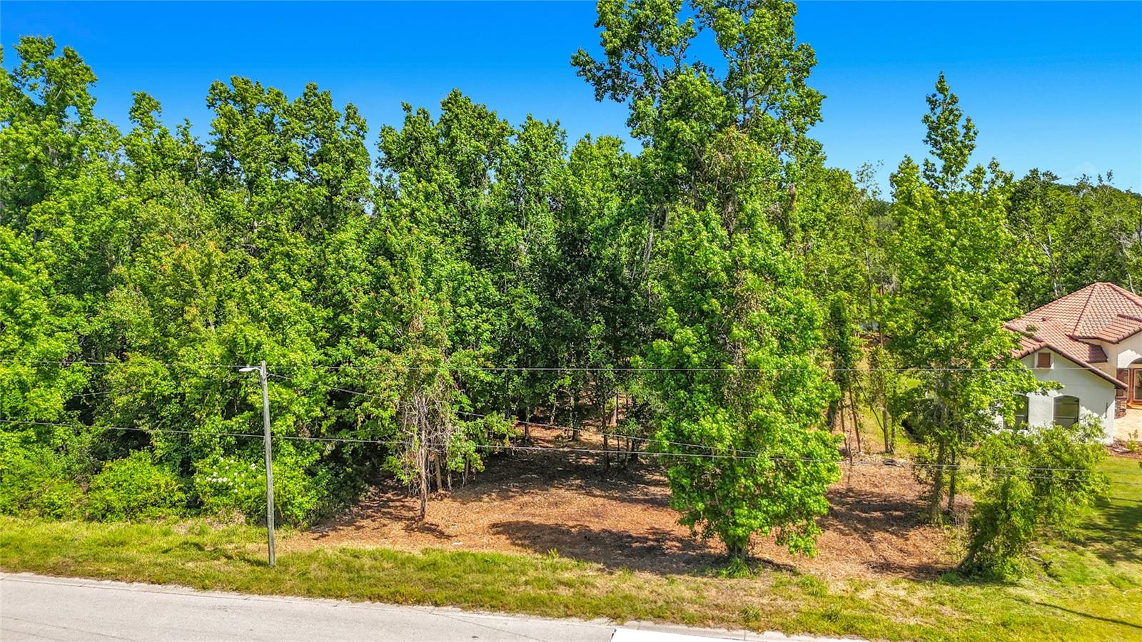 Build your dream home on this spacious homesite in the desirable Shadow Run community of Riverview! Enjoy the perfect blend of privacy and natural surroundings with mature trees and generous lot sizes throughout the neighborhood. This property offers a peaceful, rural feel while still being conveniently located near shopping, dining, and major roadways for easy access to Tampa, Brandon, and surrounding areas. Shadow Run is known for its unique character, low HOA, and custom home opportunities—no cookie-cutter homes here. Bring your own builder and create the lifestyle you’ve been looking for!