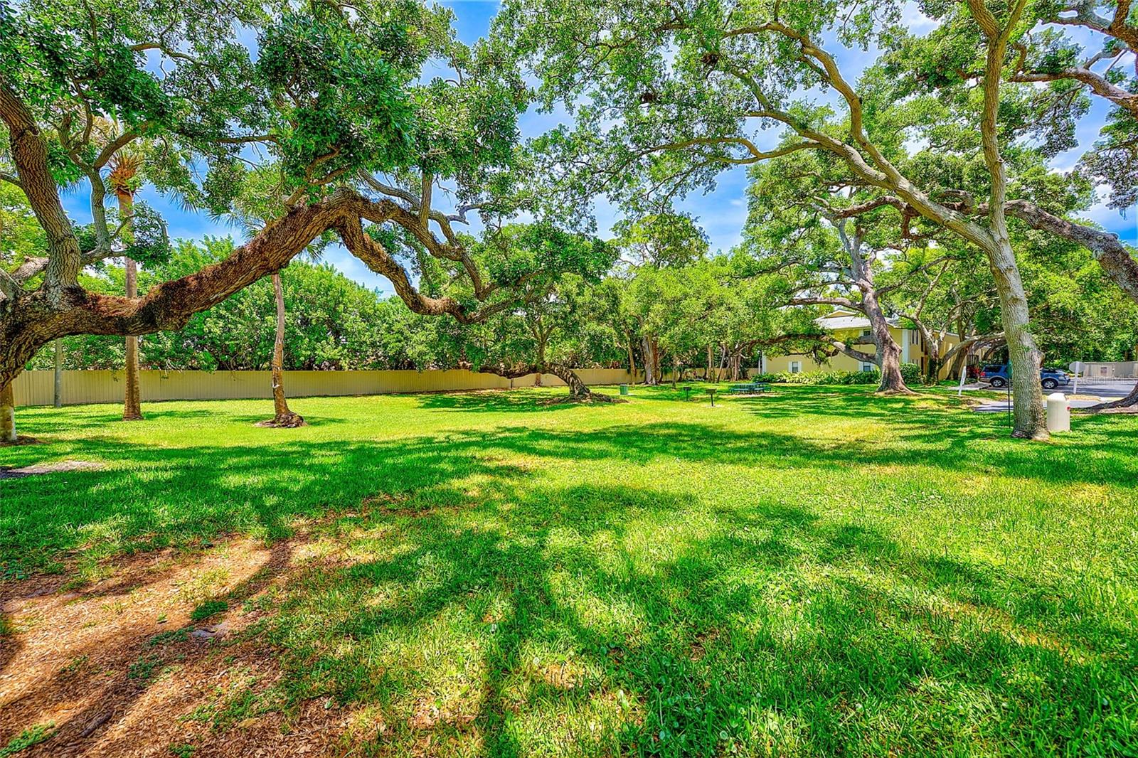 ARBOR GROVE CONDO - Residential
