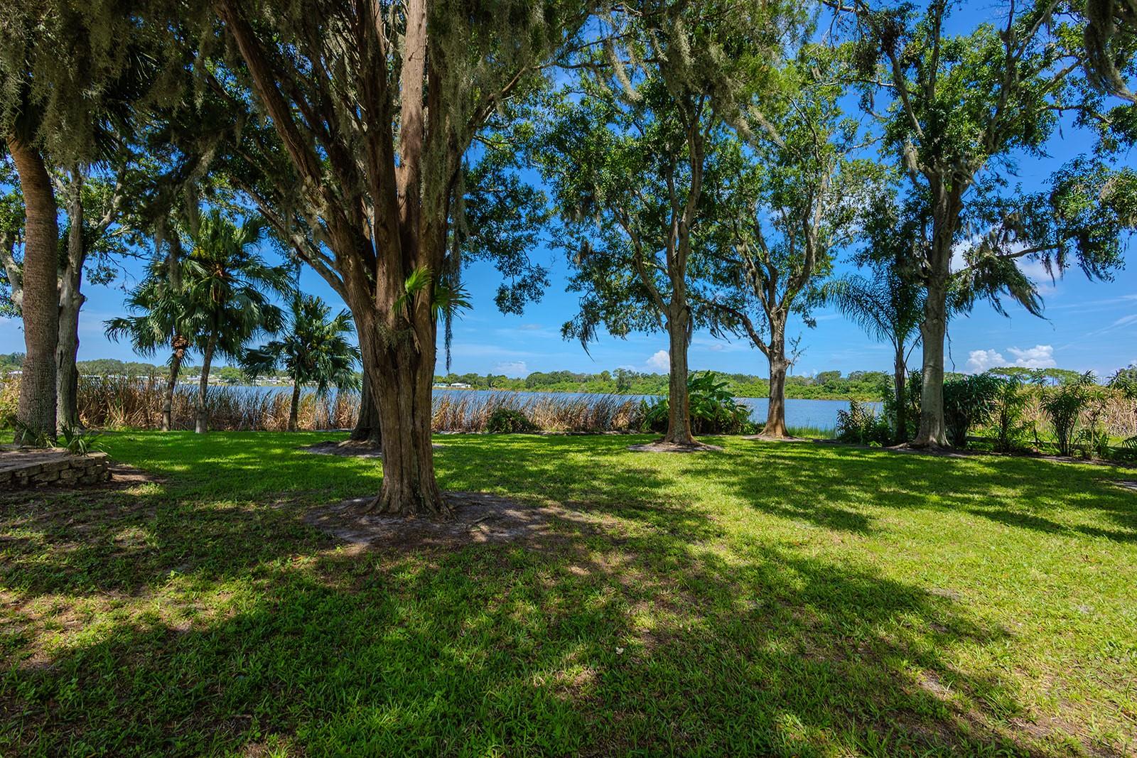 TAMPA & TARPON SPGS LAND CO - Residential