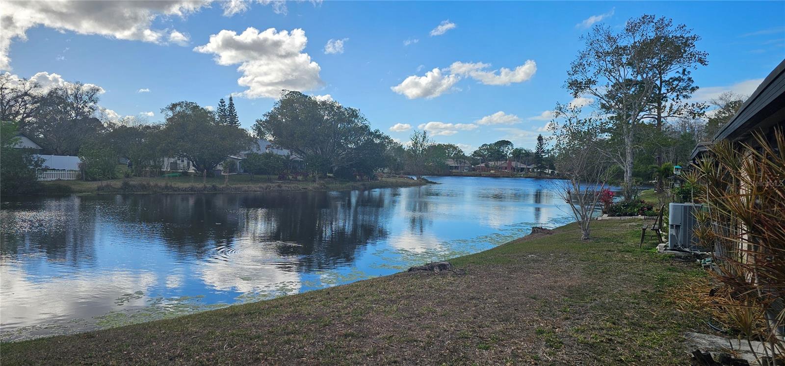 CARROLLWOOD SPRGS CLUSTER HMS - Residential