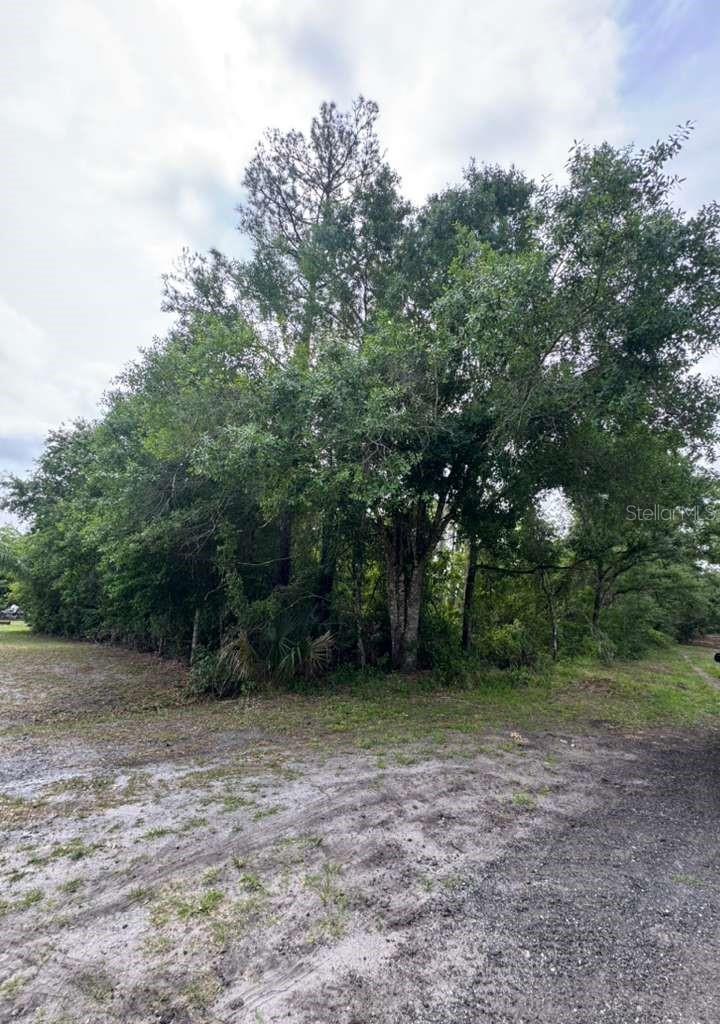 Discover the perfect opportunity to own a spacious piece of land in the peaceful community of Christmas, Florida! Located at 1249 Sable Palm Dr, this property offers approximately 303 feet of frontage, providing ample space and flexibility for your future plans. Whether you’re looking to build your dream home, create a private retreat, or invest in land with endless potential, this property delivers the privacy and tranquility of country living while still being conveniently located near major roadways, Orlando attractions, beaches, and outdoor recreation.

Enjoy the beauty of Florida nature with room for outdoor activities, recreational vehicles, boats, or even a custom estate. Don’t miss this incredible opportunity to own a generously sized property in a growing area with no shortage of possibilities!