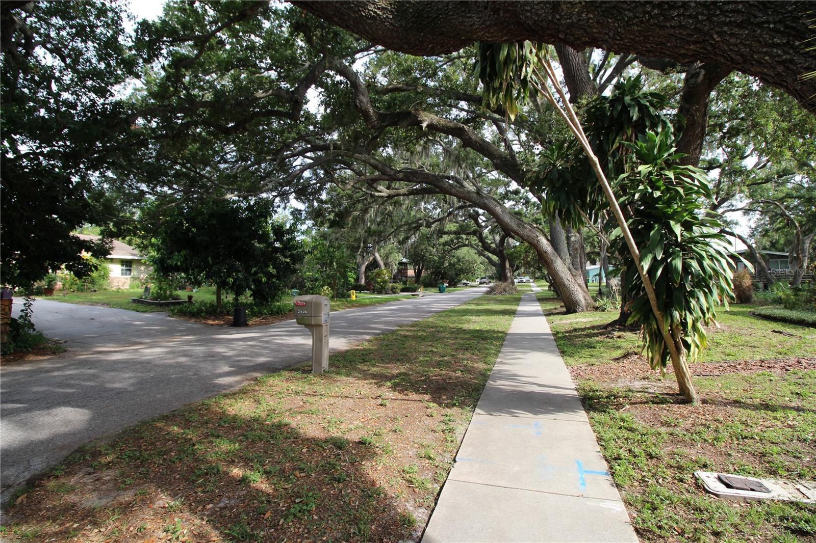 DE SOTO ESTATES - Residential