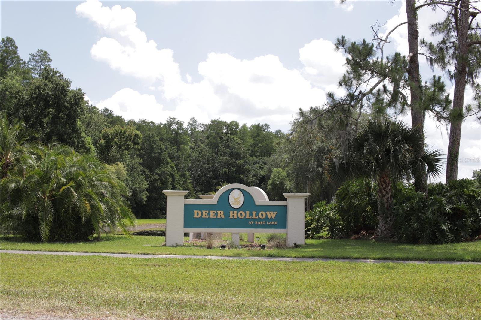 PINE RIDGE AT LAKE TARPON VILLAGE - Residential